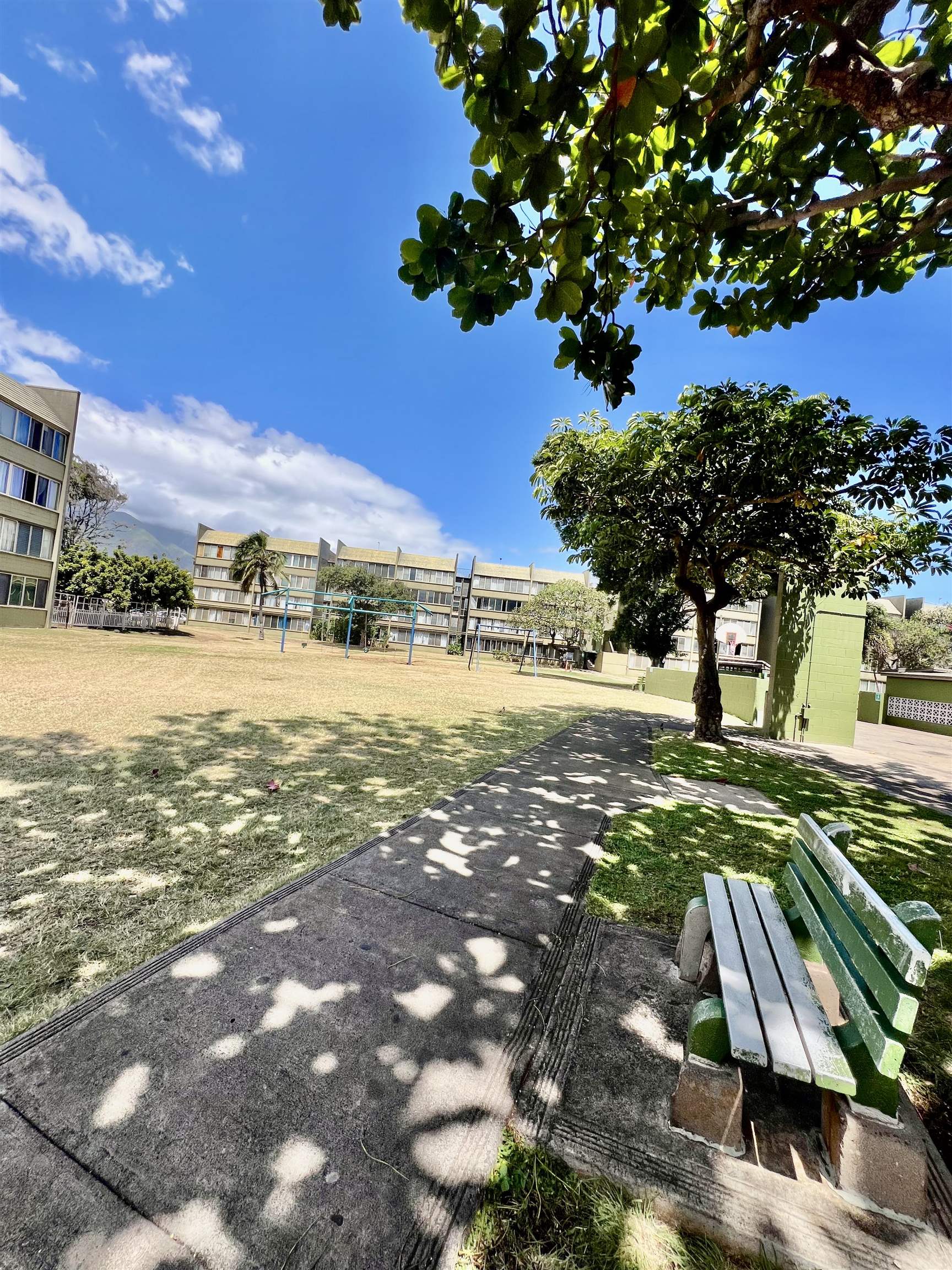 Harbor Lights condo # D117, Kahului, Hawaii - photo 23 of 24