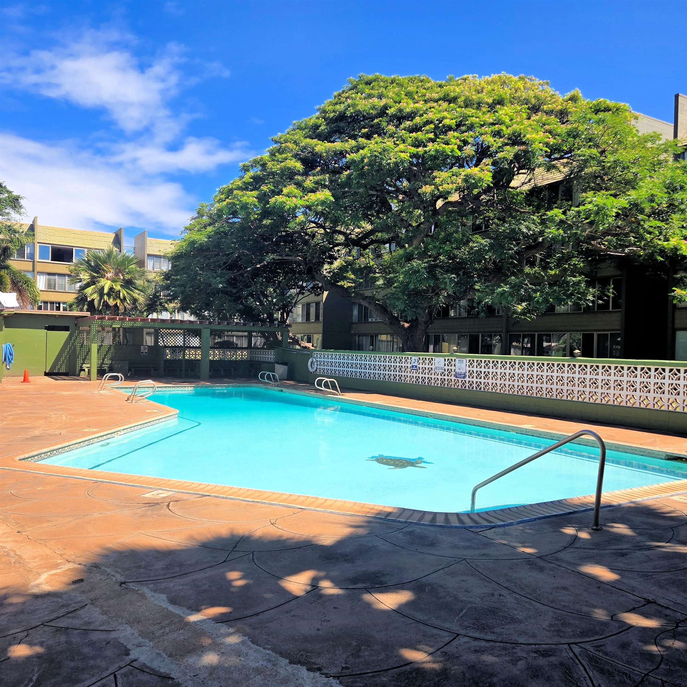 Harbor Lights condo # D-216, Kahului, Hawaii - photo 2 of 14