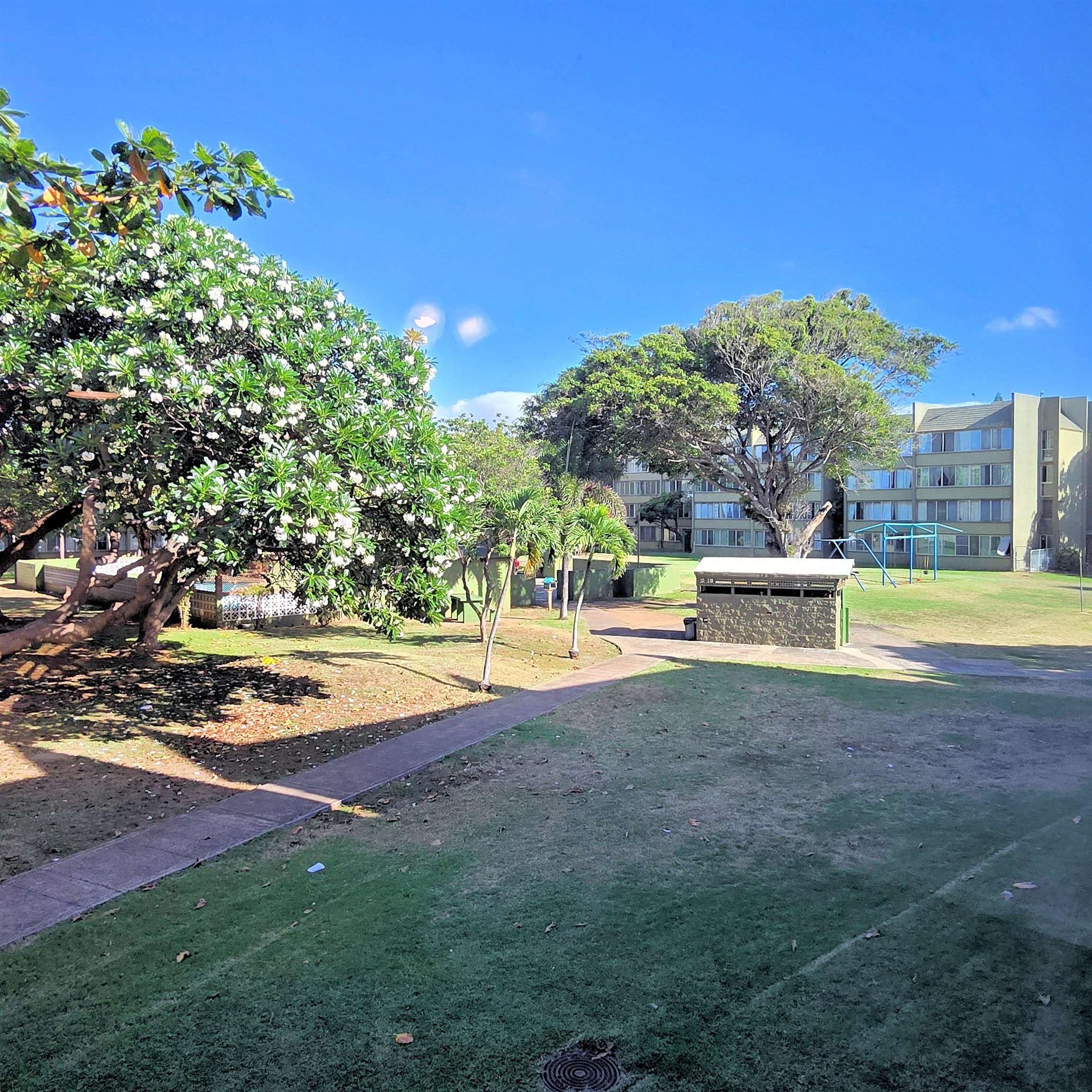 Harbor Lights condo # D-216, Kahului, Hawaii - photo 13 of 14