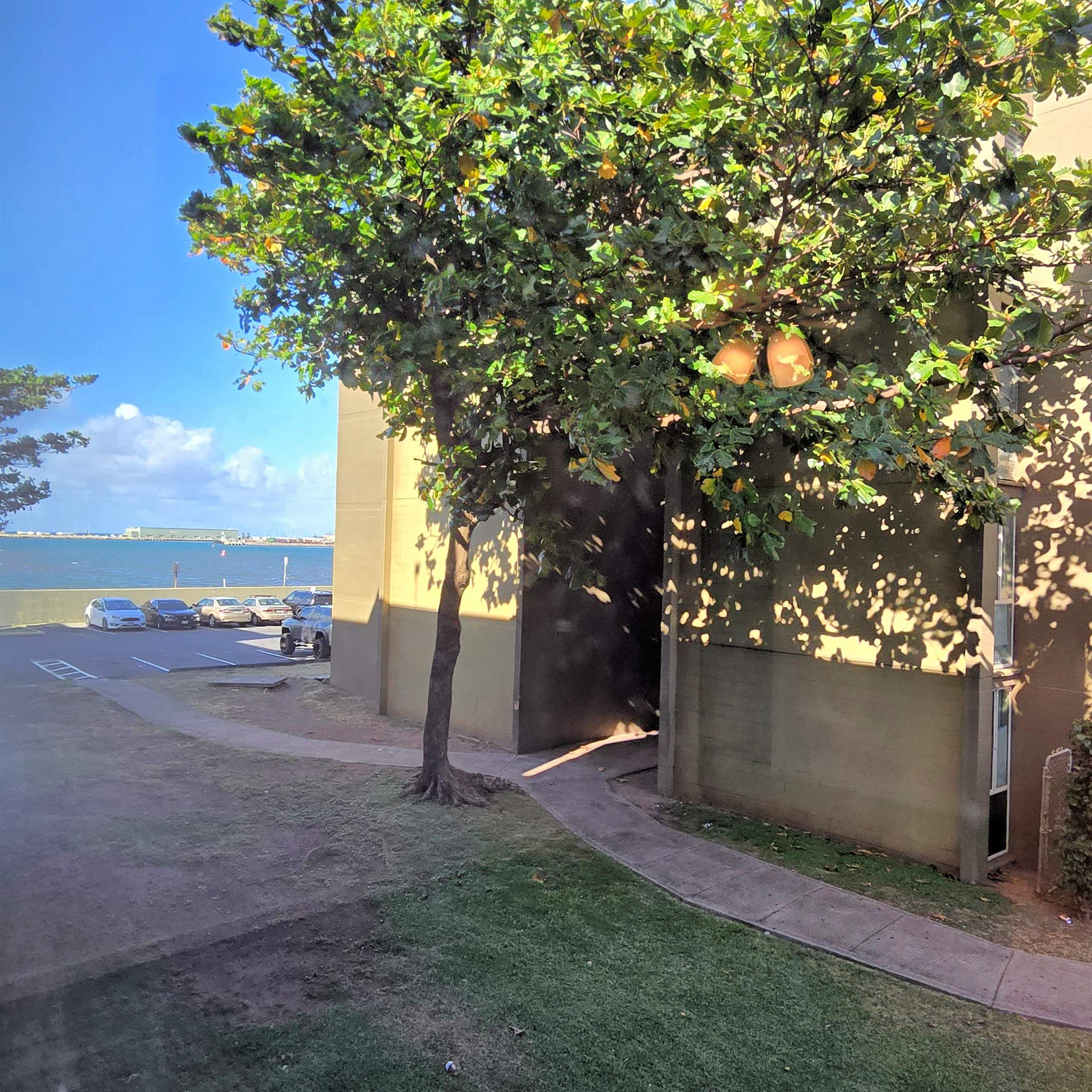 Harbor Lights condo # D-216, Kahului, Hawaii - photo 14 of 14