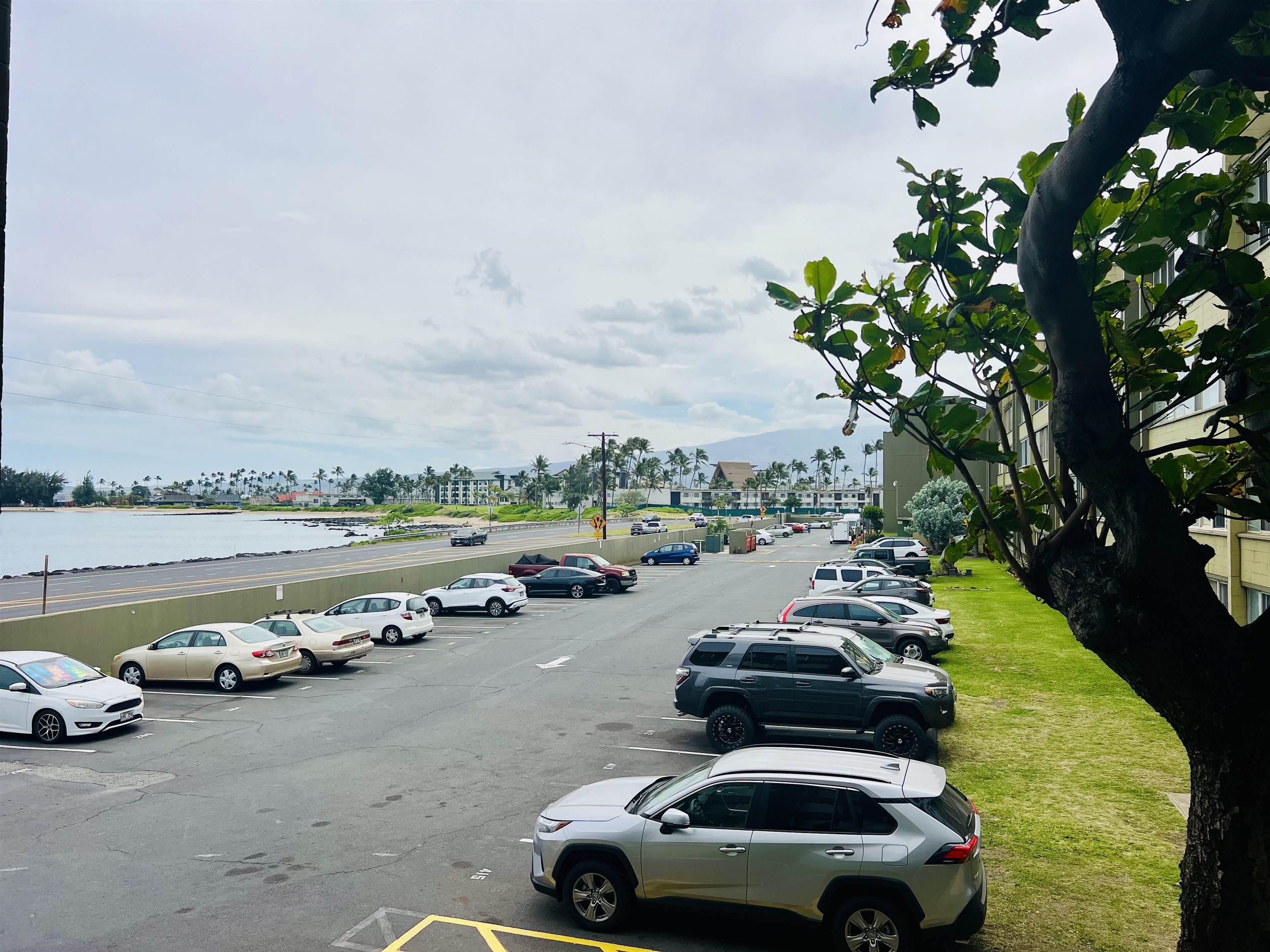 Harbor Lights condo # D225, Kahului, Hawaii - photo 20 of 31