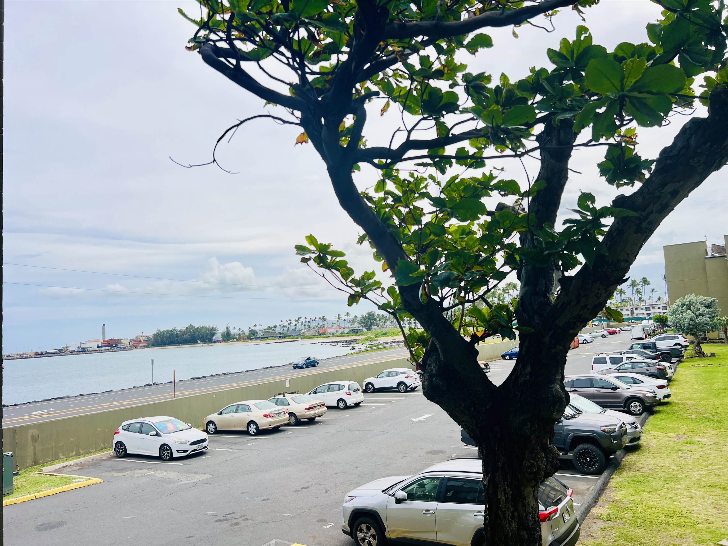 Harbor Lights condo # D225, Kahului, Hawaii - photo 21 of 31