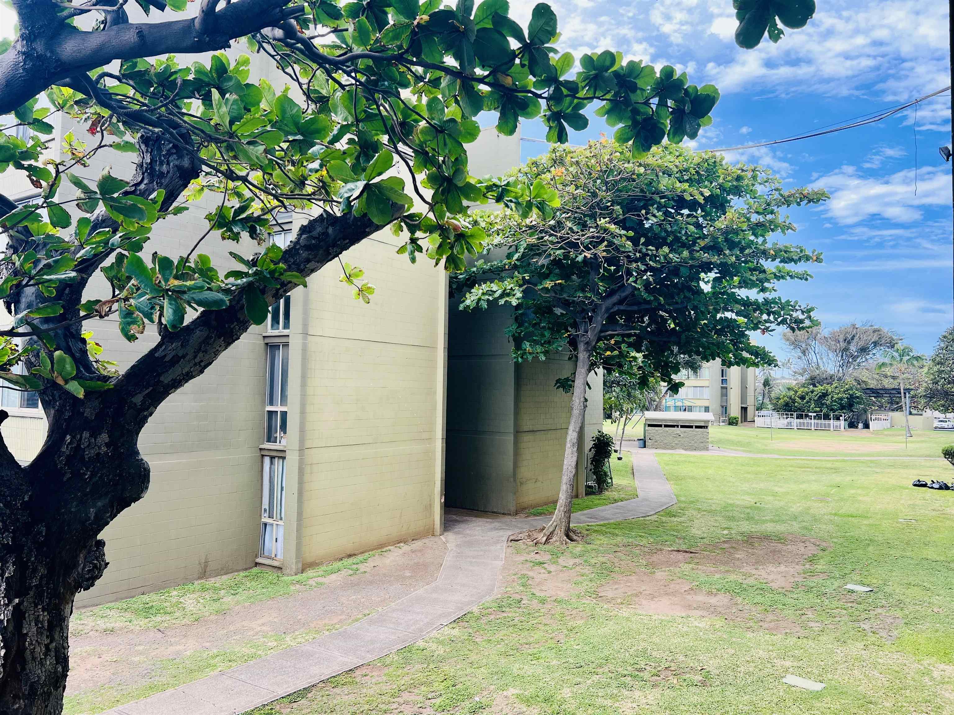 Harbor Lights condo # D225, Kahului, Hawaii - photo 24 of 31