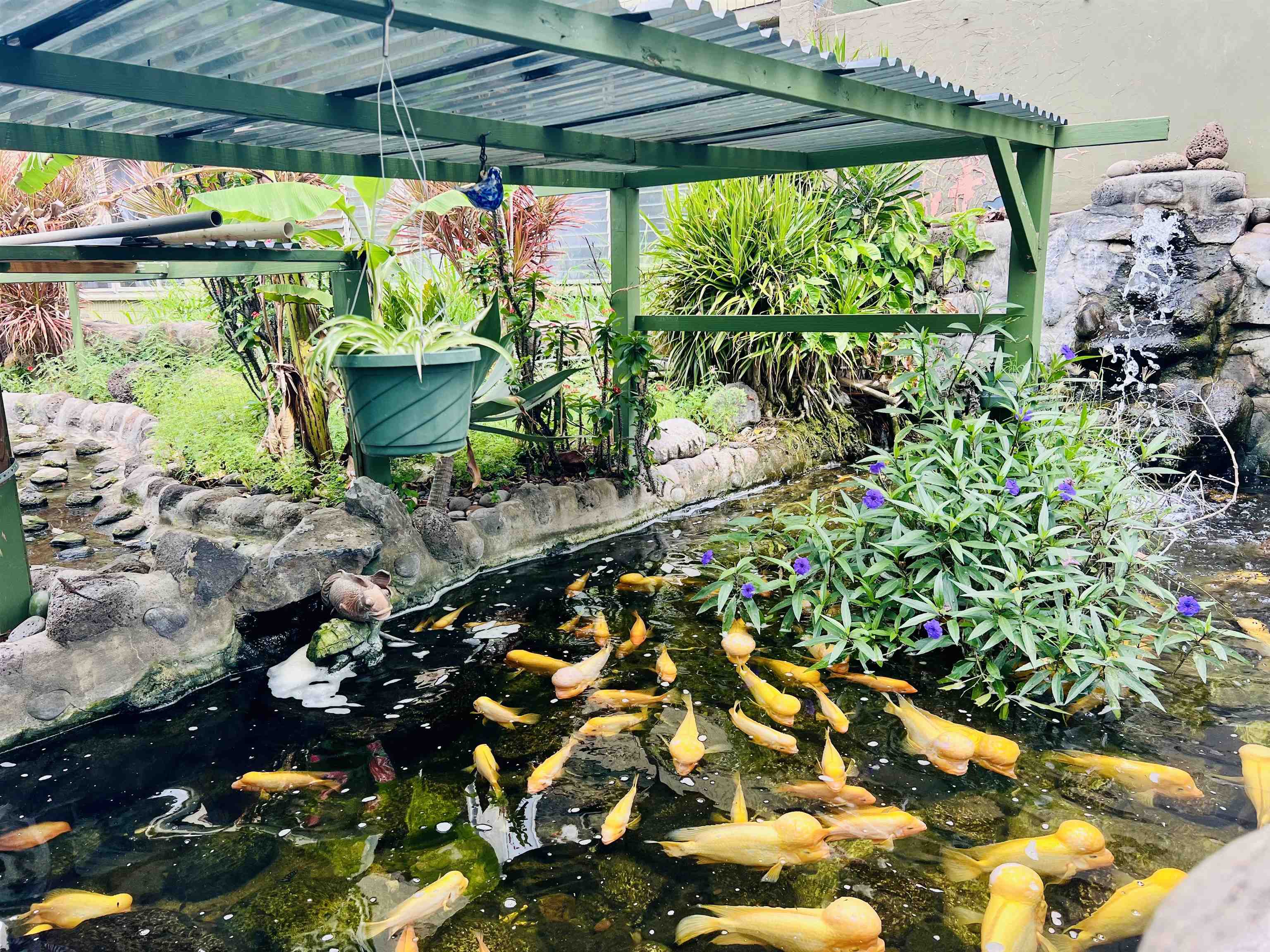 Harbor Lights condo # D225, Kahului, Hawaii - photo 31 of 31