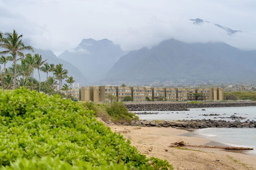 Harbor Lights condo # D306, Kahului, Hawaii - photo 32 of 48