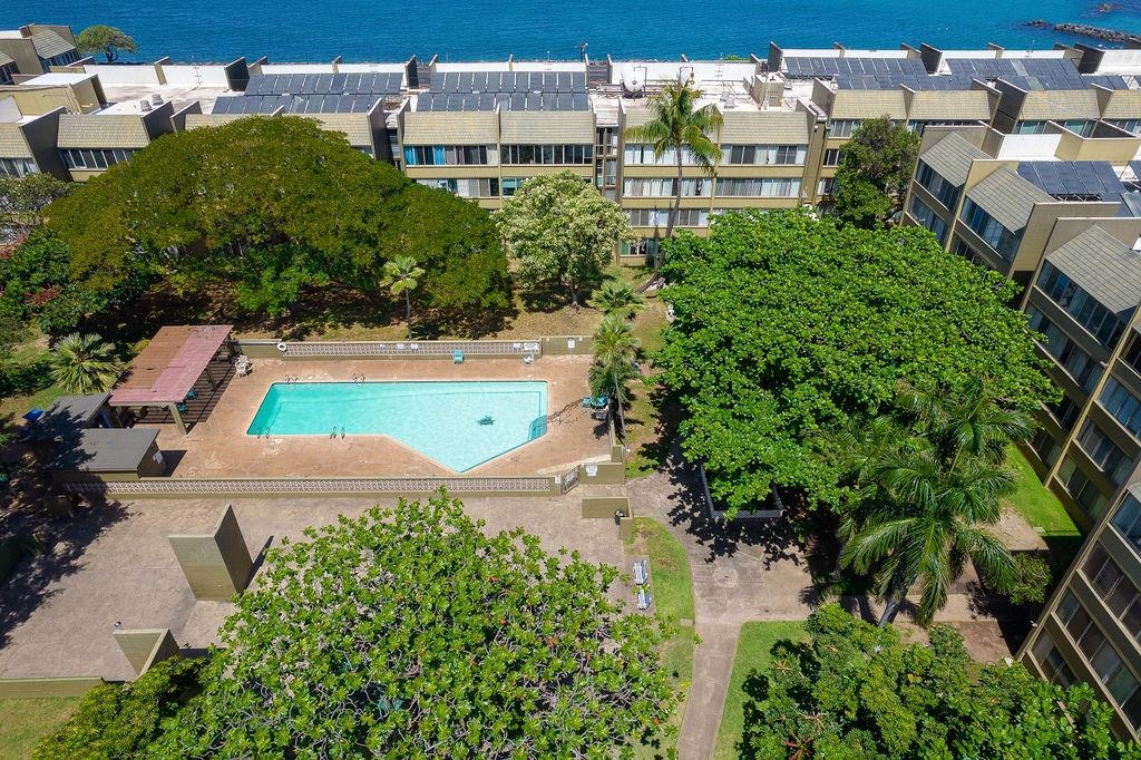 Harbor Lights condo # D306, Kahului, Hawaii - photo 37 of 48