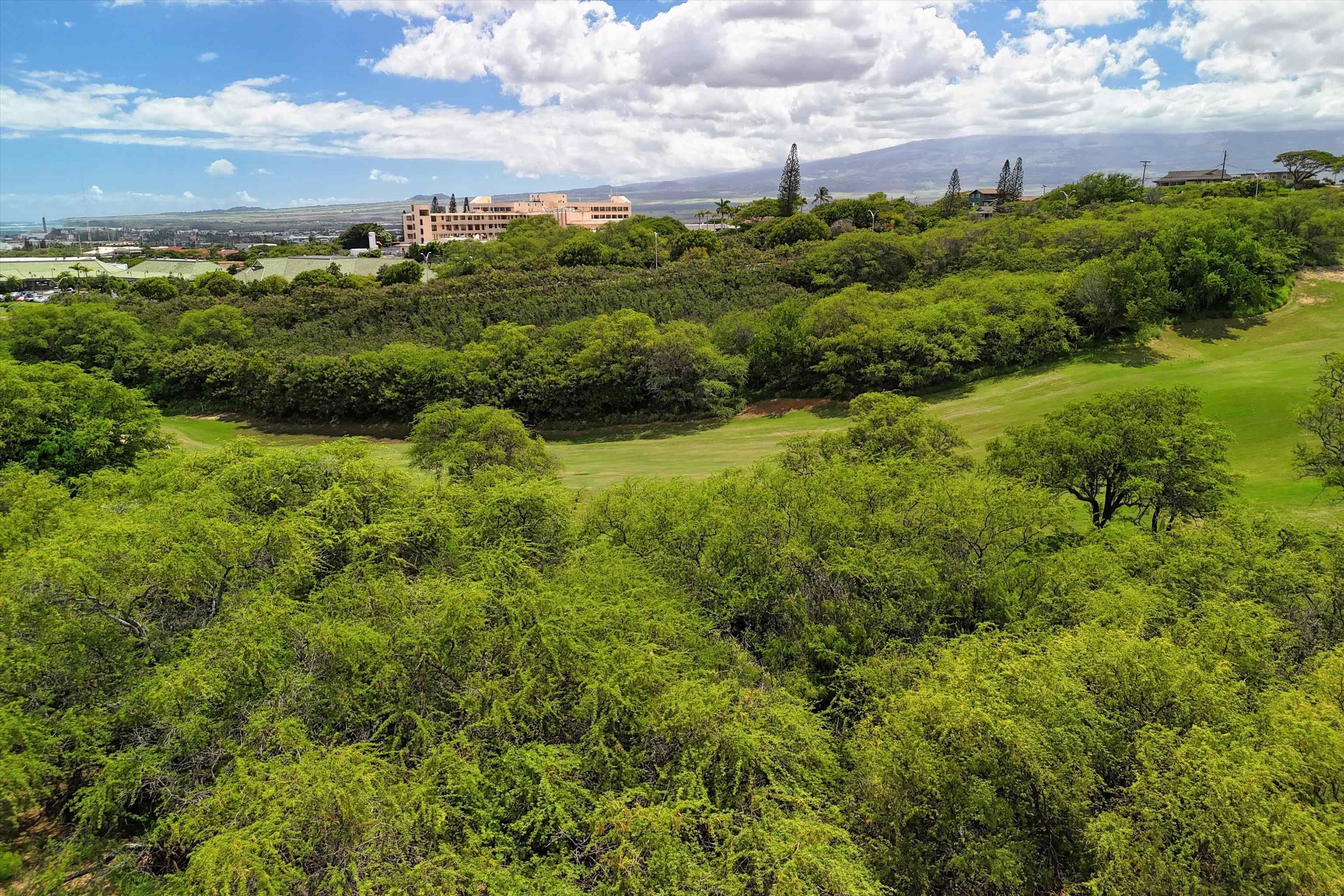 111 Keoneloa St  Wailuku, Hi vacant land for sale - photo 22 of 28