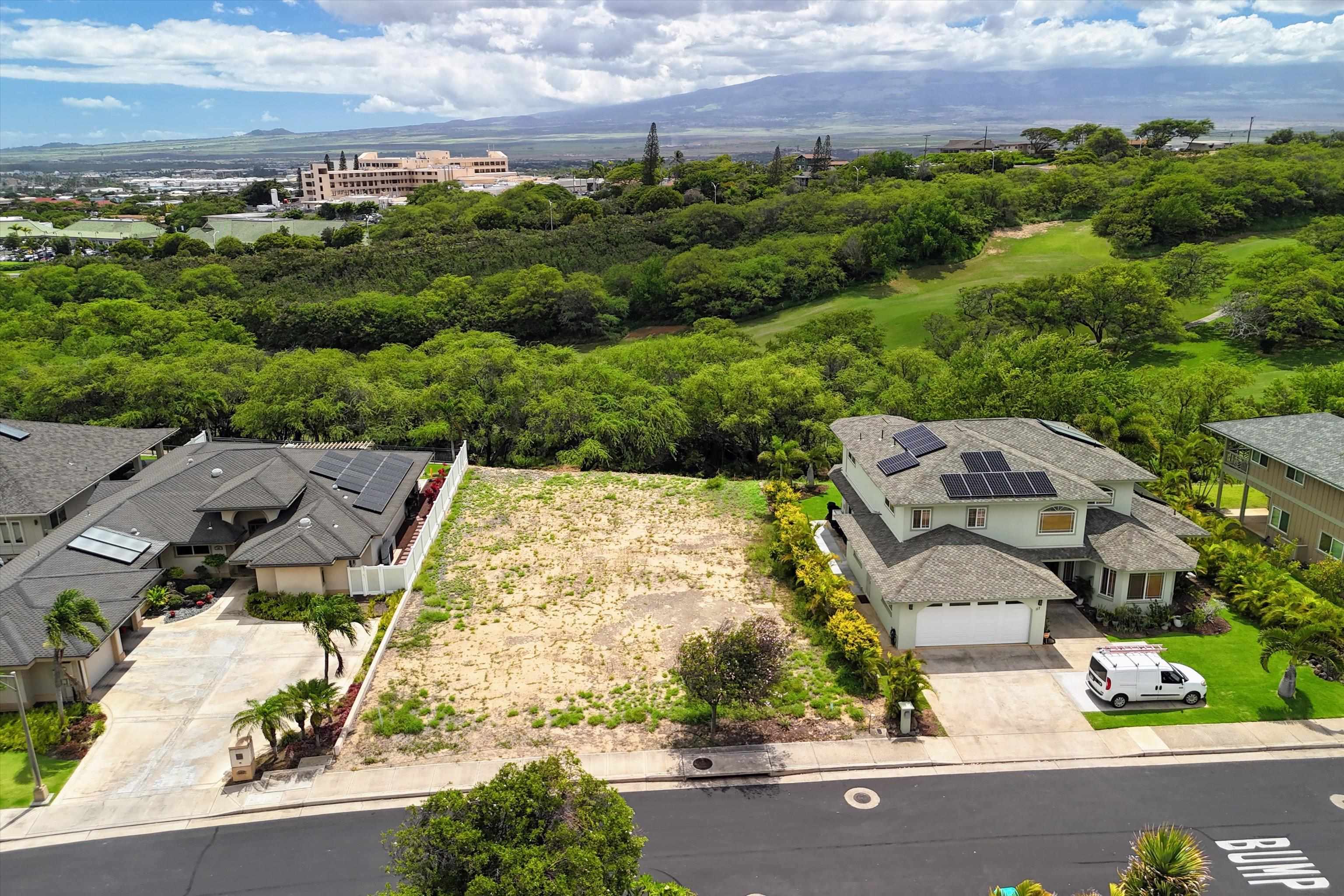 111 Keoneloa St  Wailuku, Hi vacant land for sale - photo 8 of 28