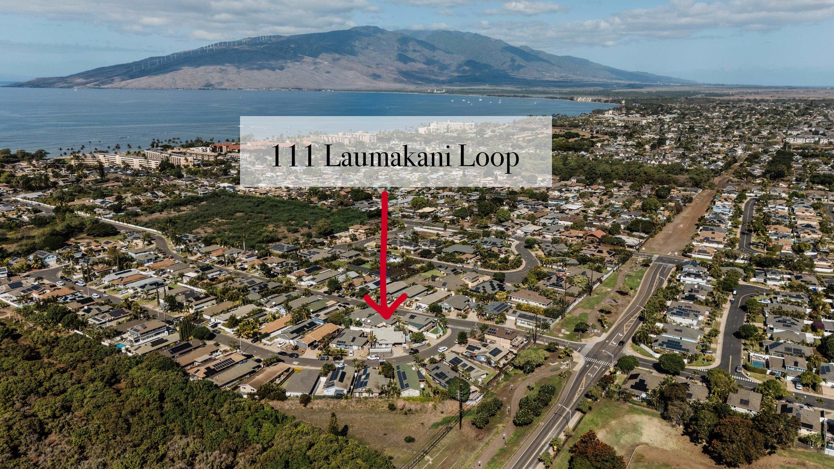 111  Laumakani Loop Meadowlands, Kihei home - photo 2 of 49