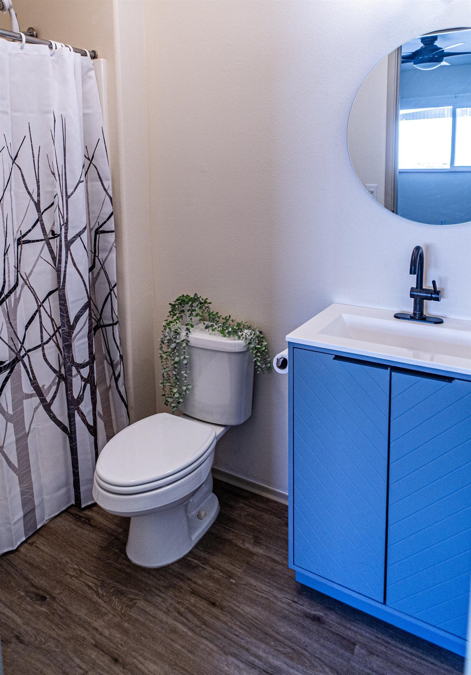 111  Laumakani Loop Meadowlands, Kihei home - photo 10 of 49