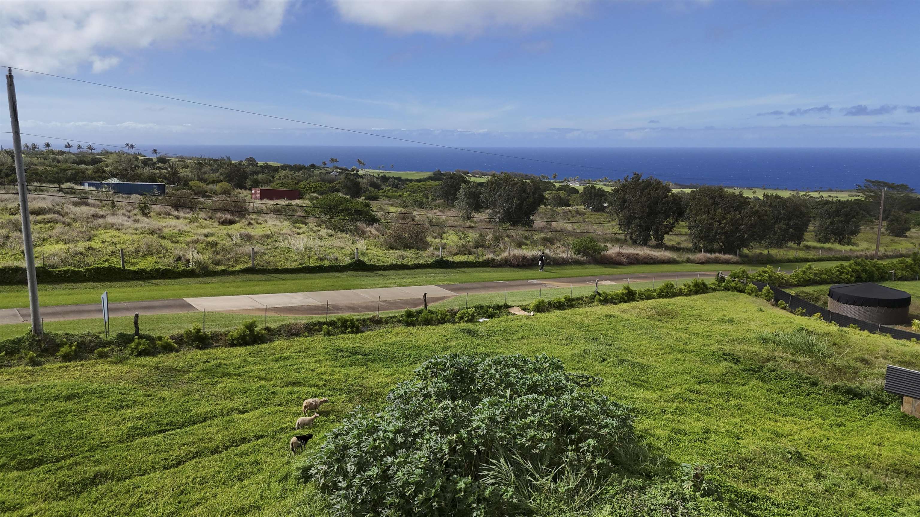 111  Mehana Rd Manawai, Haiku home - photo 3 of 41