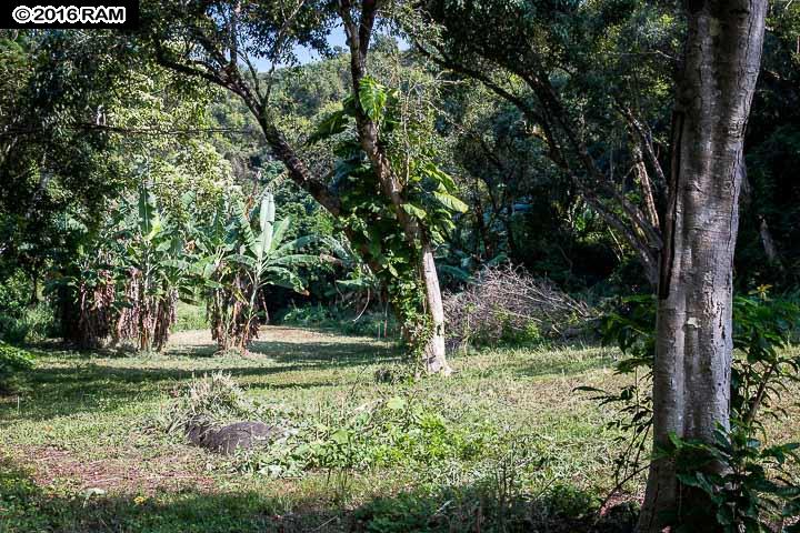 112 Kahiapo Pl  Haiku, Hi vacant land for sale - photo 17 of 28