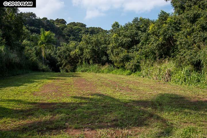 112 Kahiapo Pl  Haiku, Hi vacant land for sale - photo 9 of 28