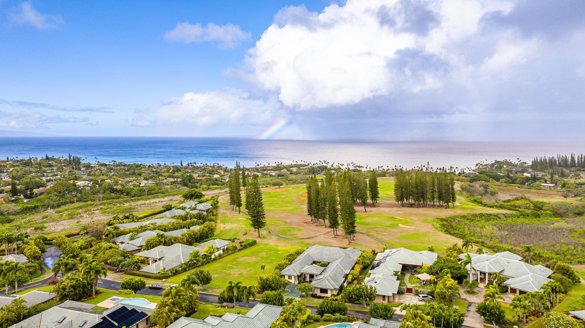 112  Pulelehua St Kapalua, Kapalua home - photo 50 of 50