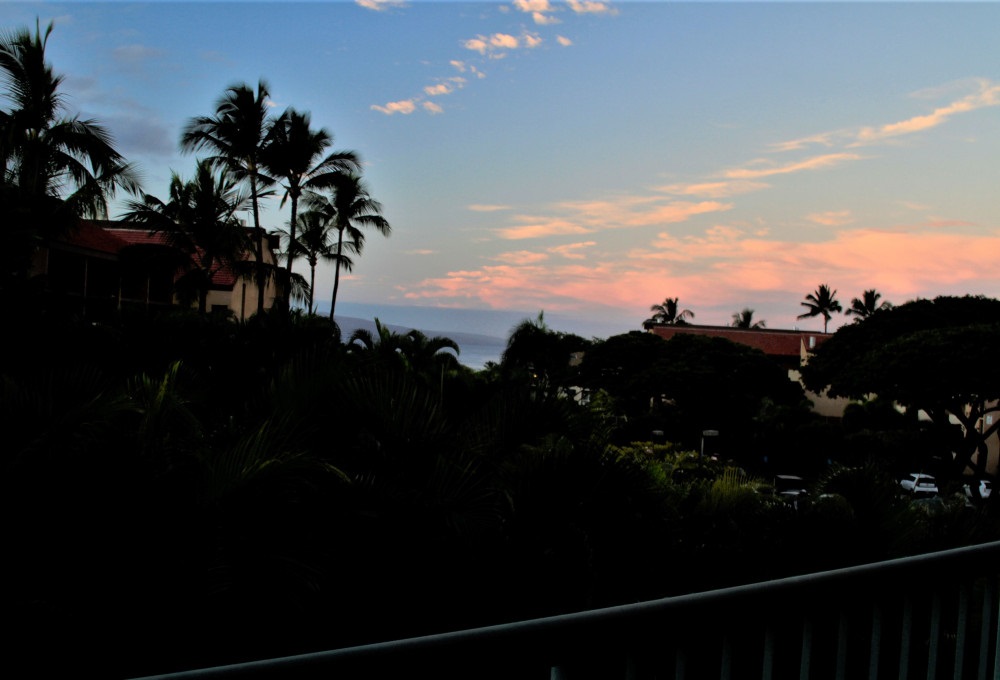 Walaka Maui condo # 101, Kihei, Hawaii - photo 14 of 15