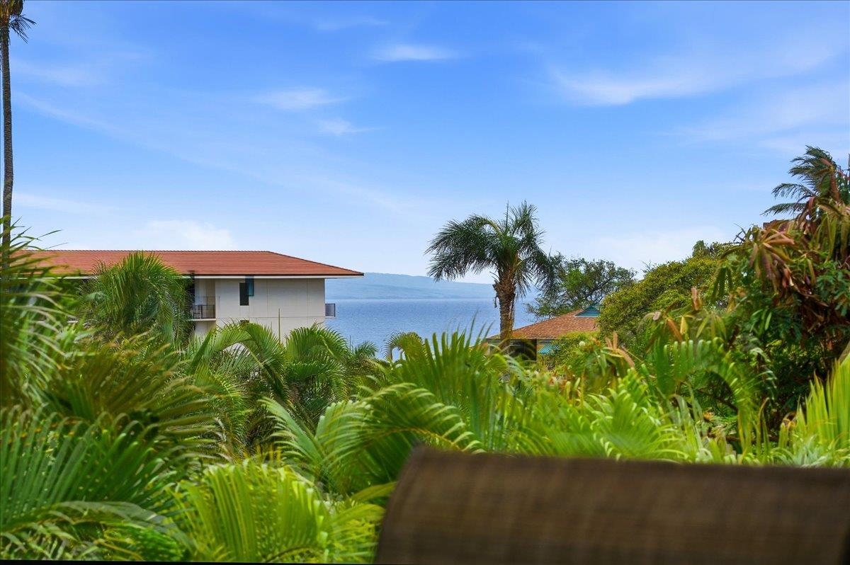 Walaka Maui condo # 101, Kihei, Hawaii - photo 12 of 22