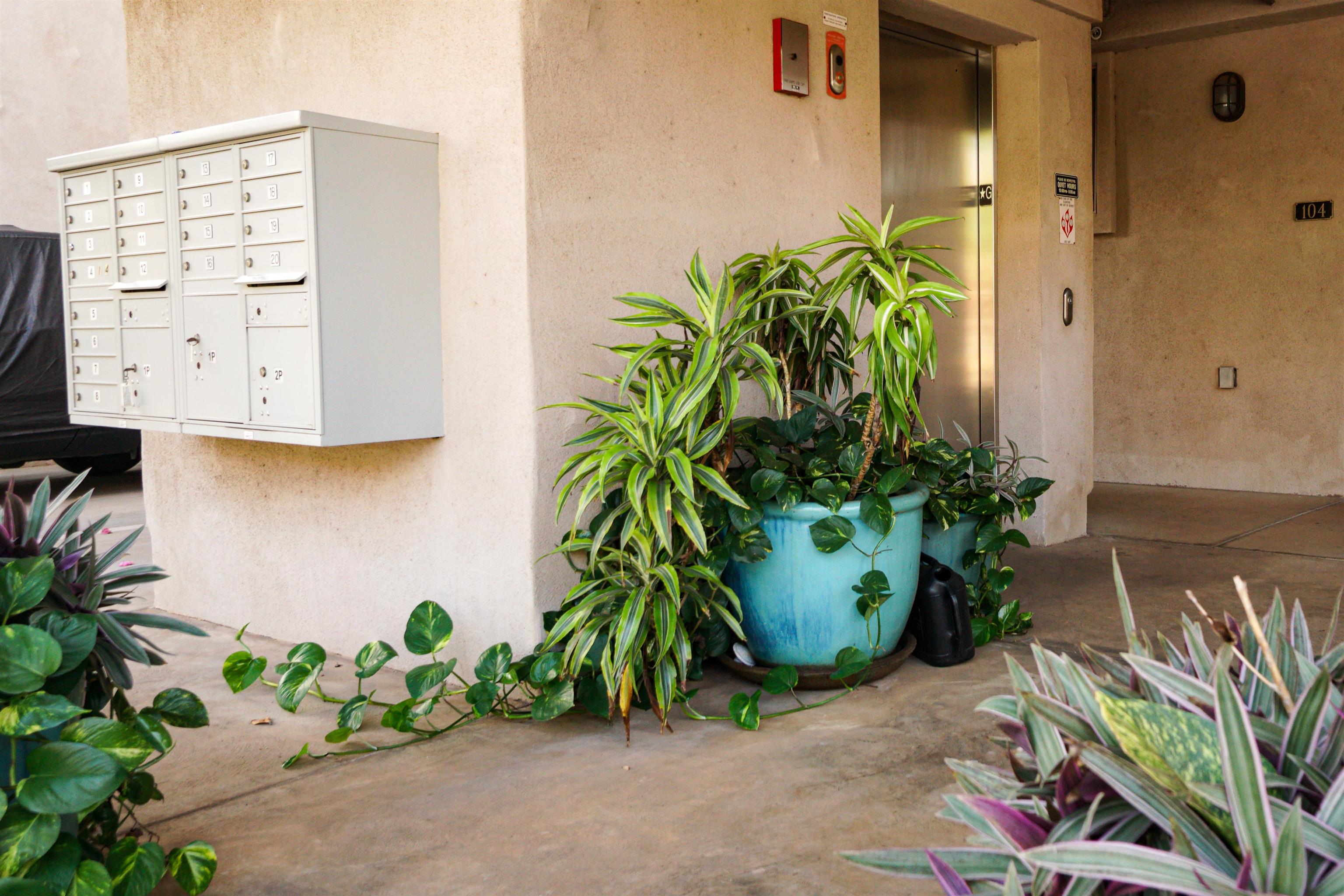 Walaka Maui condo # 204, Kihei, Hawaii - photo 12 of 33