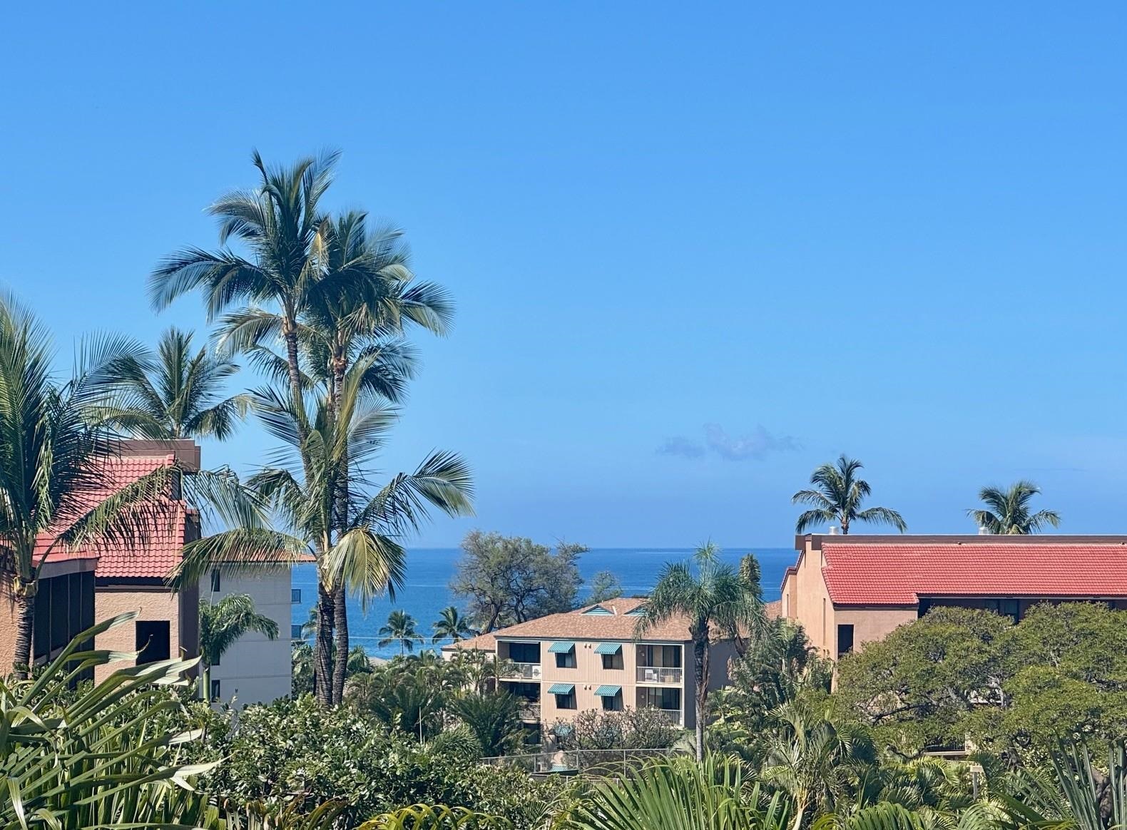 Walaka Maui condo # 204, Kihei, Hawaii - photo 25 of 33
