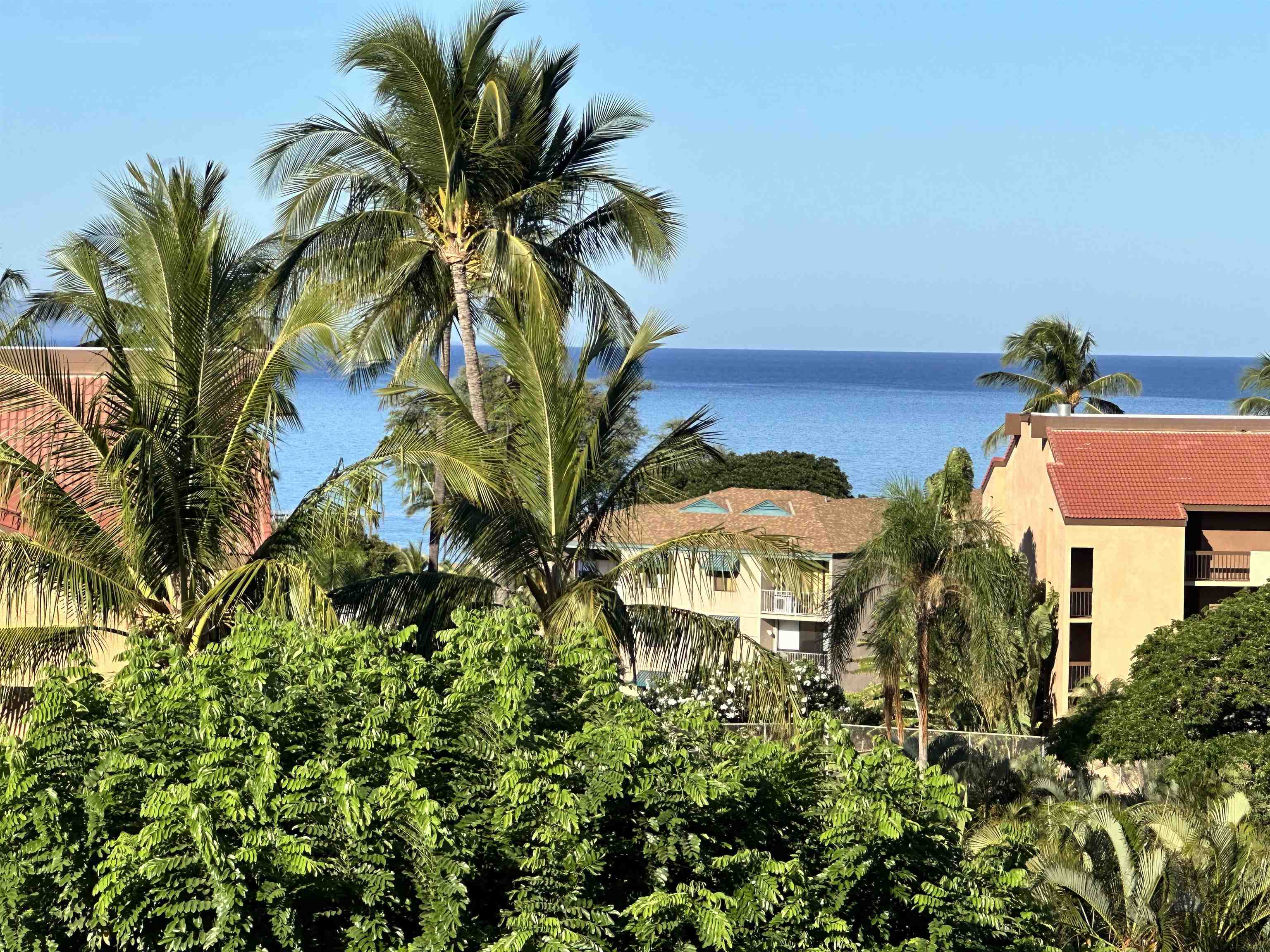 Walaka Maui condo # 305, Kihei, Hawaii - photo 8 of 26