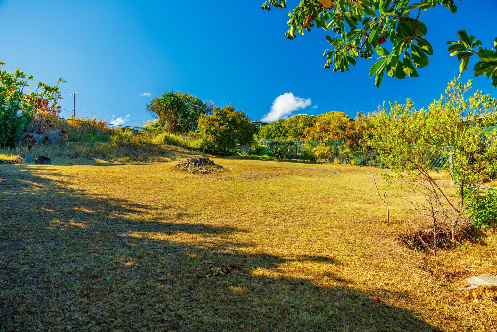 1123  Kehau Pl , Makawao/Olinda/Haliimaile home - photo 49 of 50