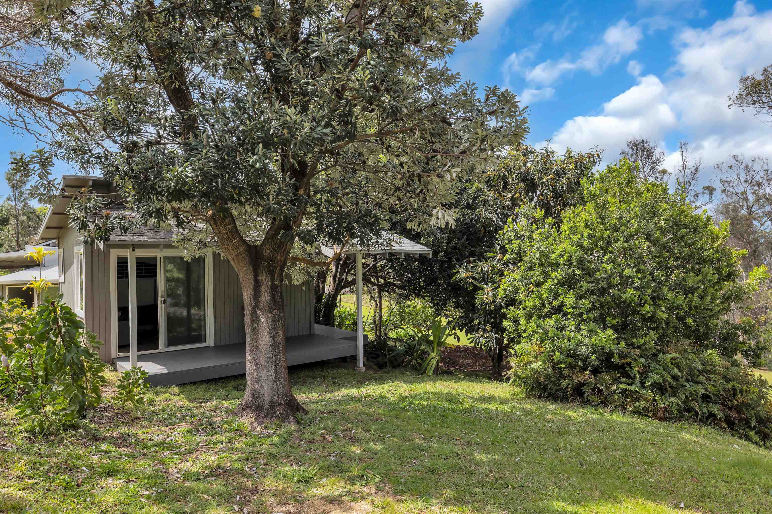 113  Ehu Iki Pl Piiholo, Makawao/Olinda/Haliimaile home - photo 16 of 27