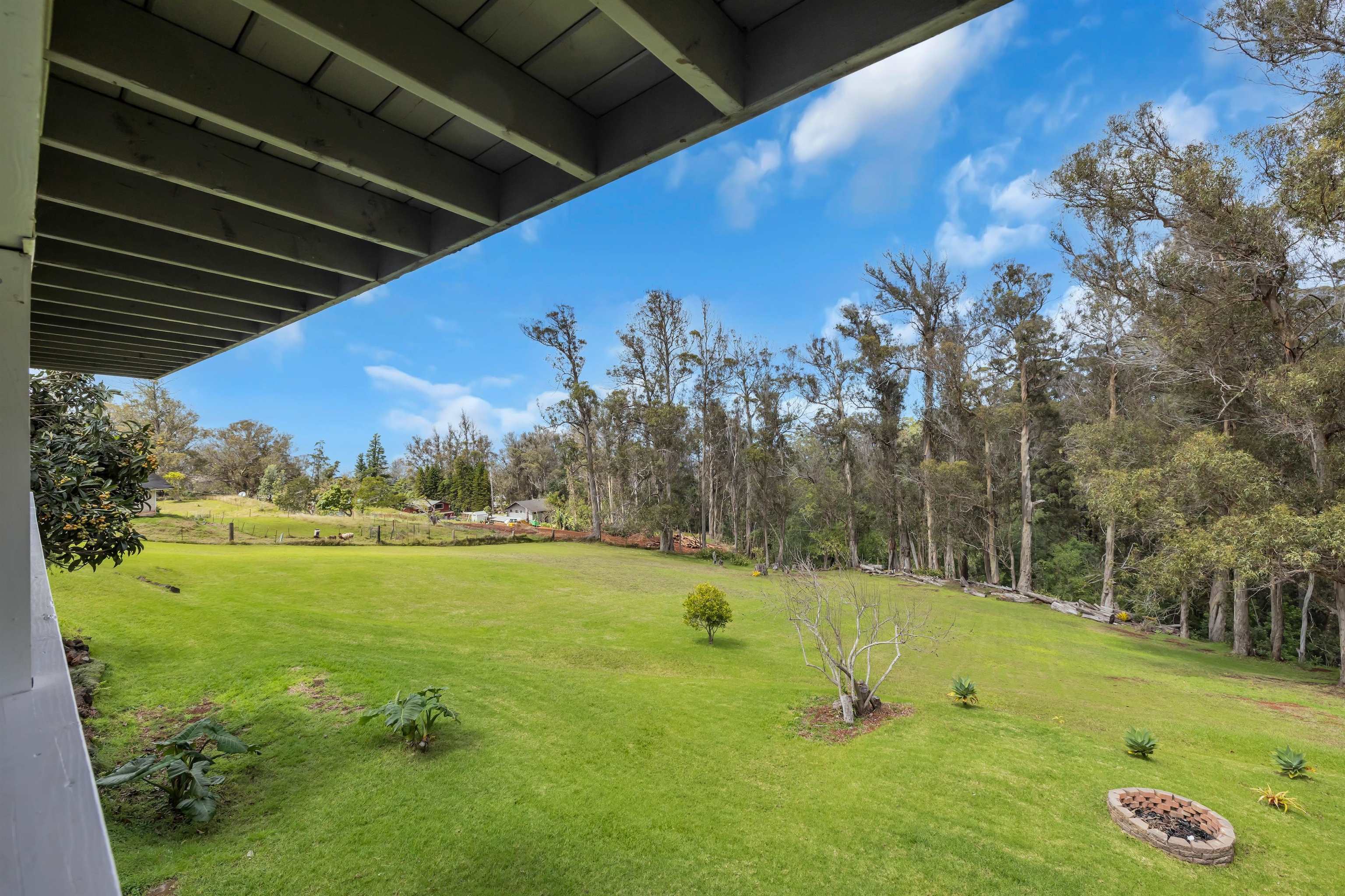113  Ehu Iki Pl Piiholo, Makawao/Olinda/Haliimaile home - photo 20 of 27