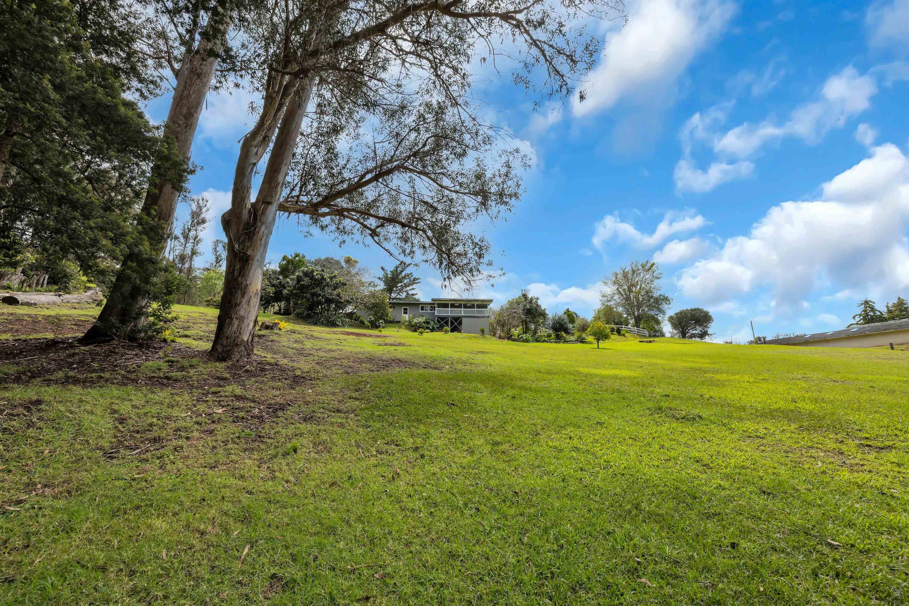113  Ehu Iki Pl Piiholo, Makawao/Olinda/Haliimaile home - photo 21 of 27