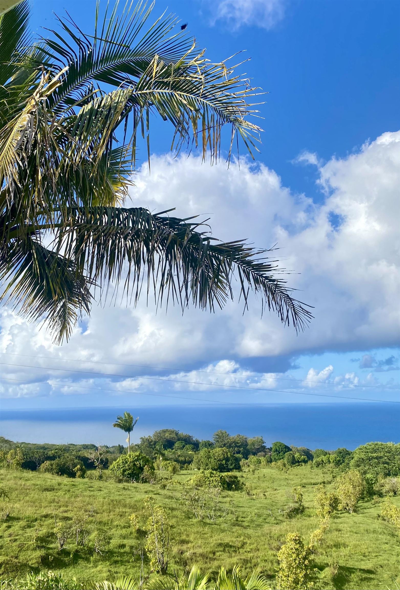 1130  Hana Hwy , Hana home - photo 39 of 48