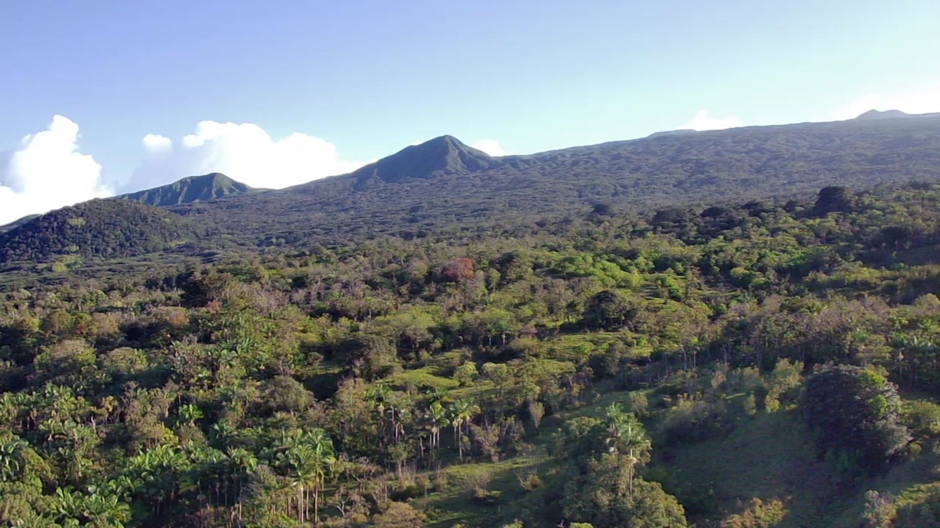 1130  Hana Hwy , Hana home - photo 46 of 48