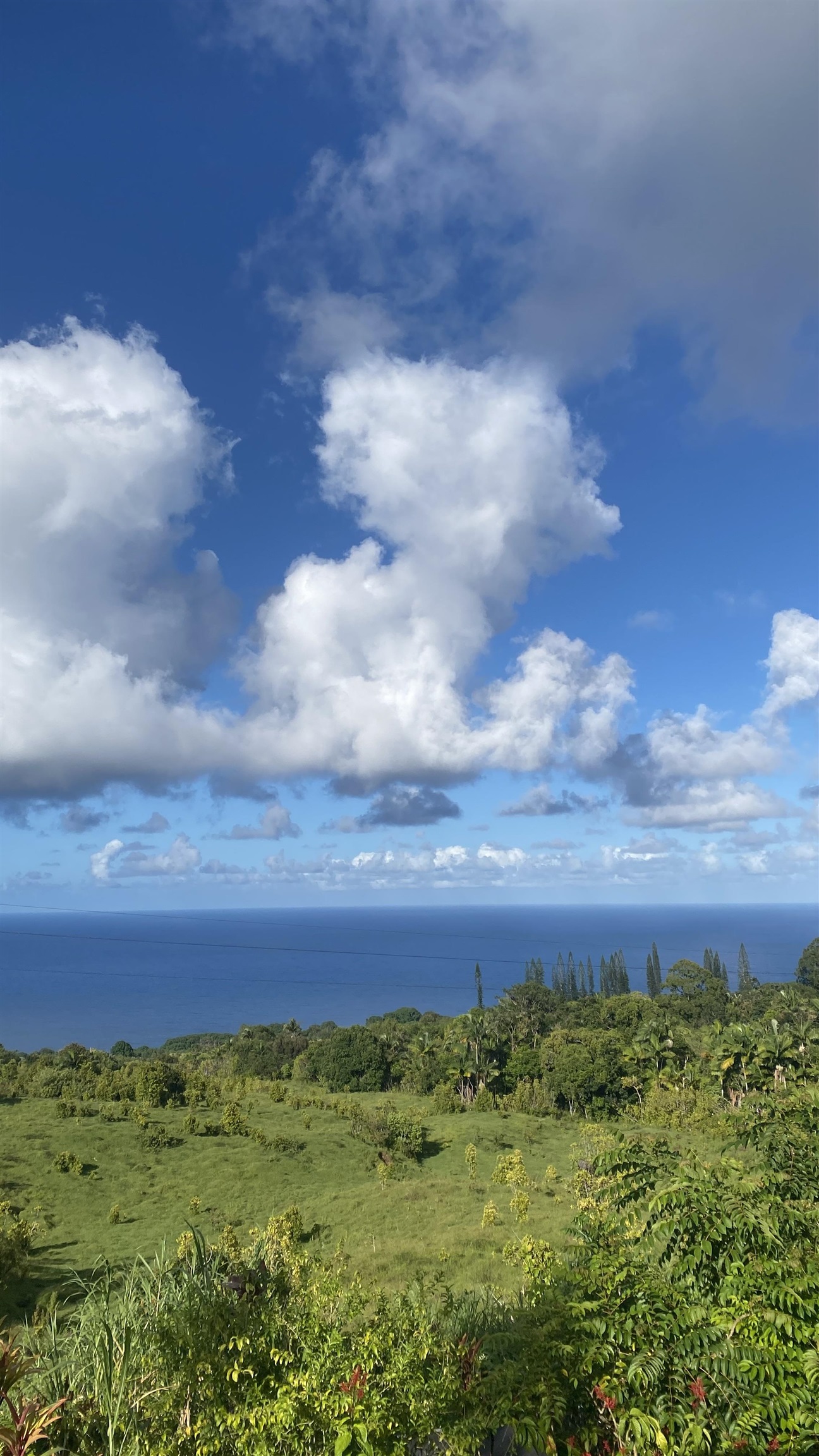 1130  Hana Hwy , Hana home - photo 8 of 48