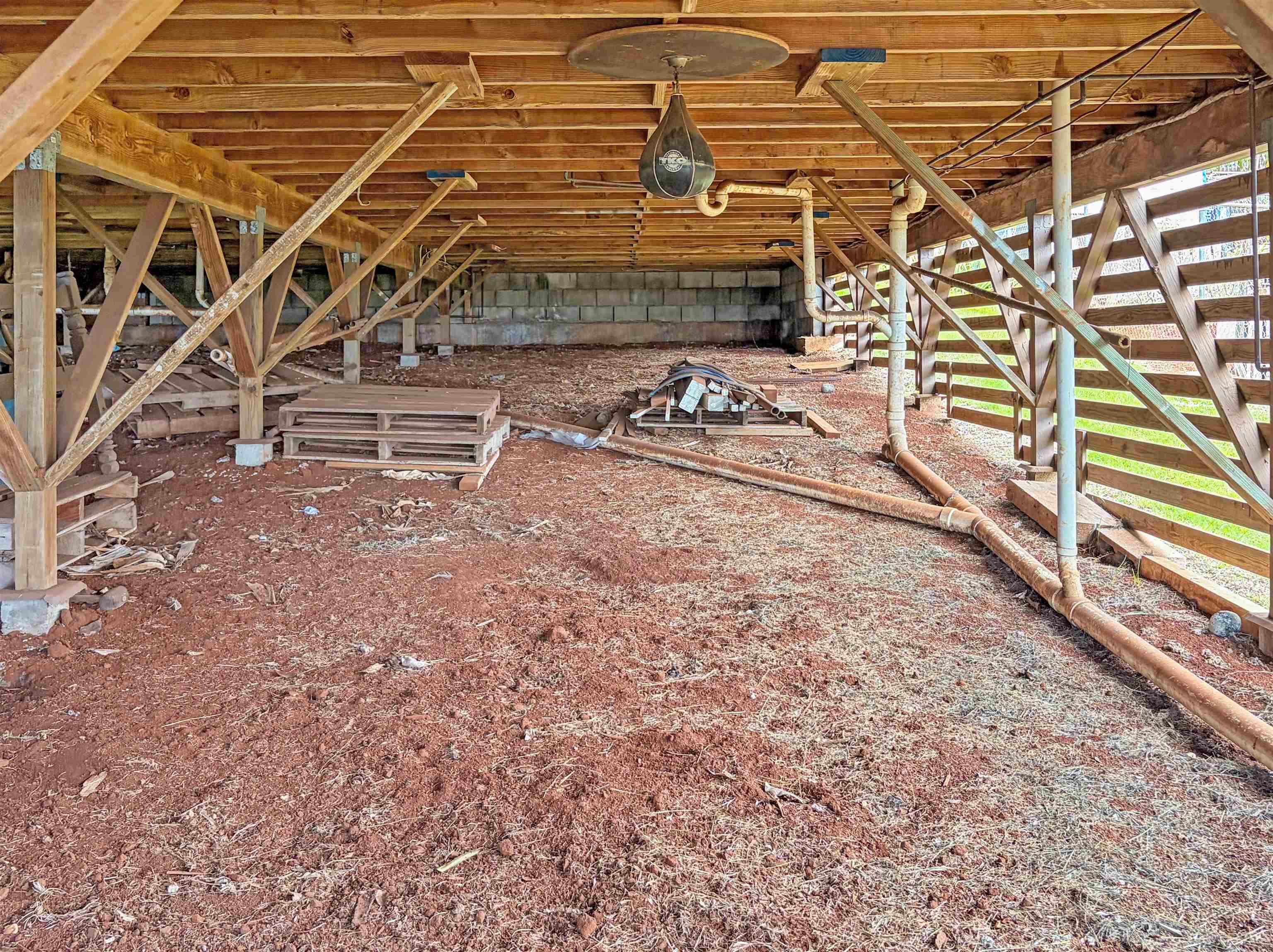 1136  Fraser Ave , Lanai home - photo 11 of 12