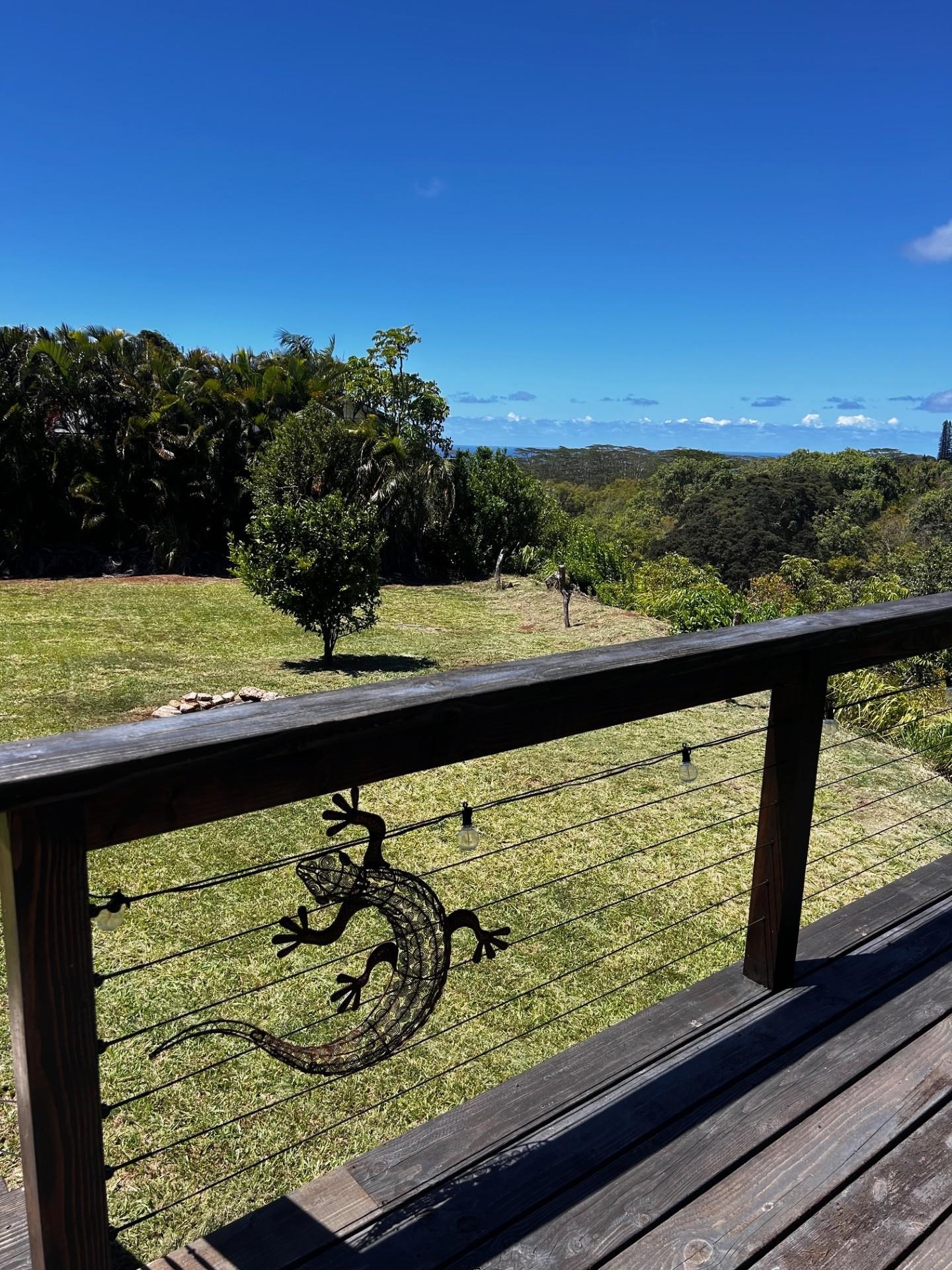 1139  Kauhikoa Rd , Haiku home - photo 20 of 42