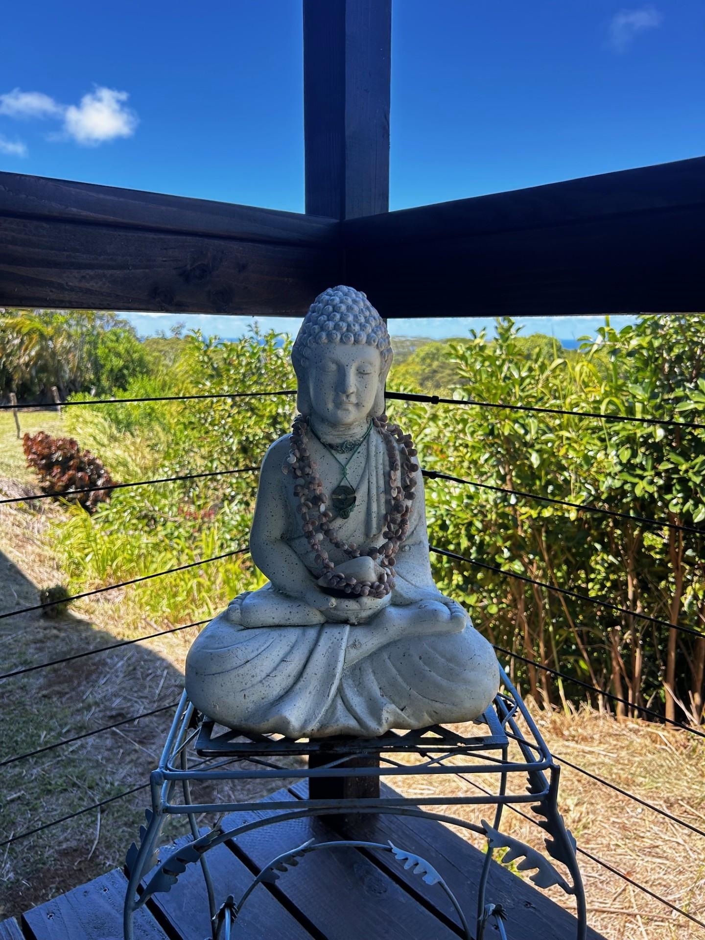 1139  Kauhikoa Rd , Haiku home - photo 34 of 42