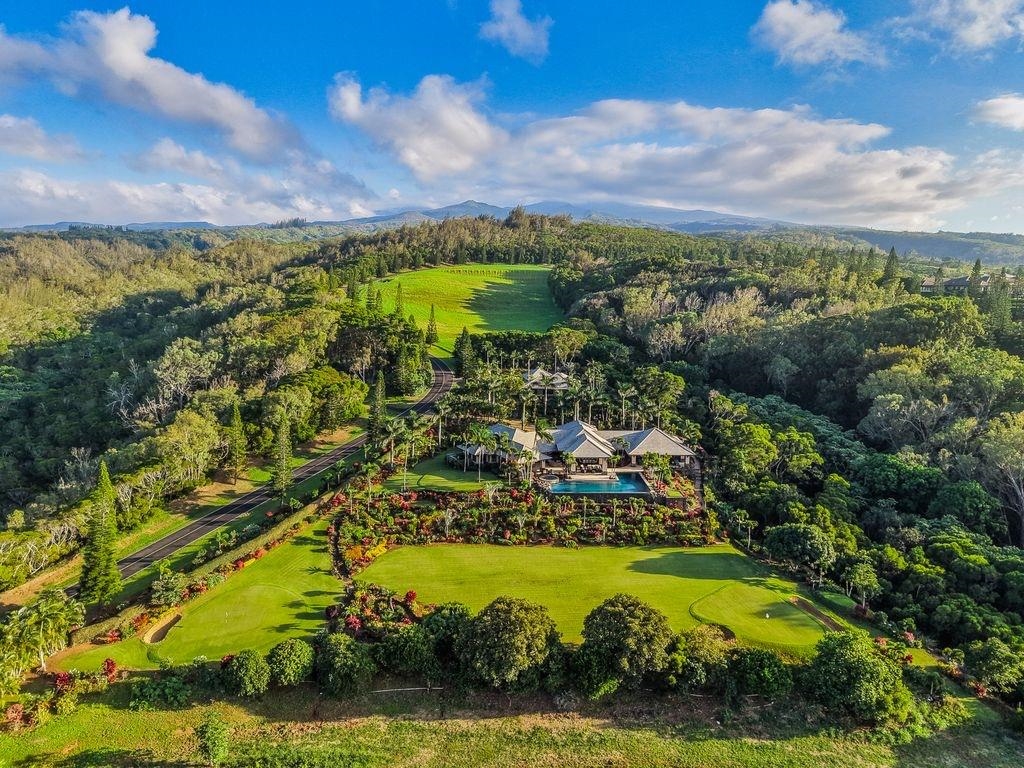 114  Keoawa St , Kapalua home - photo 48 of 50