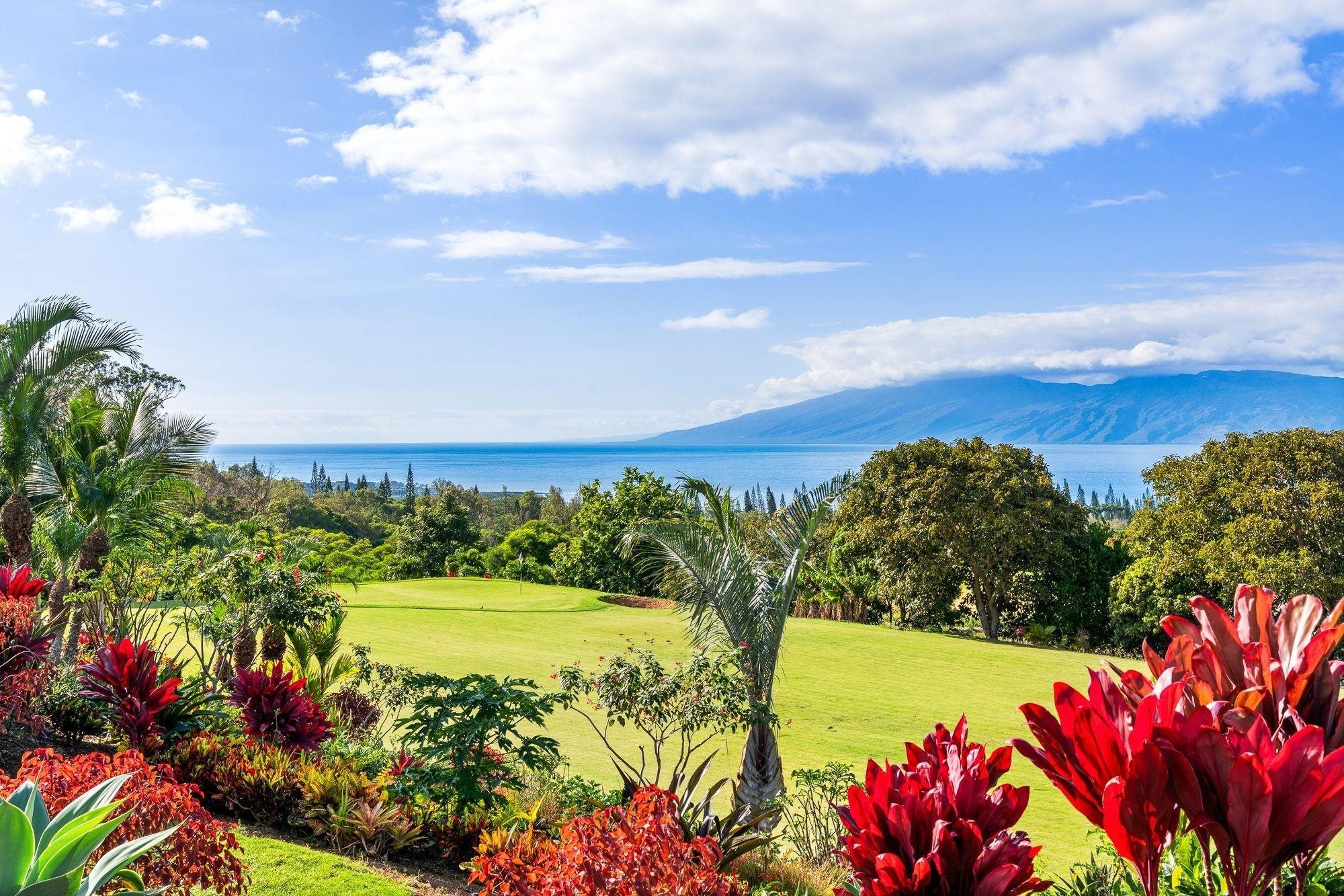 114  Keoawa St Plantation Estates, Kapalua home - photo 22 of 50