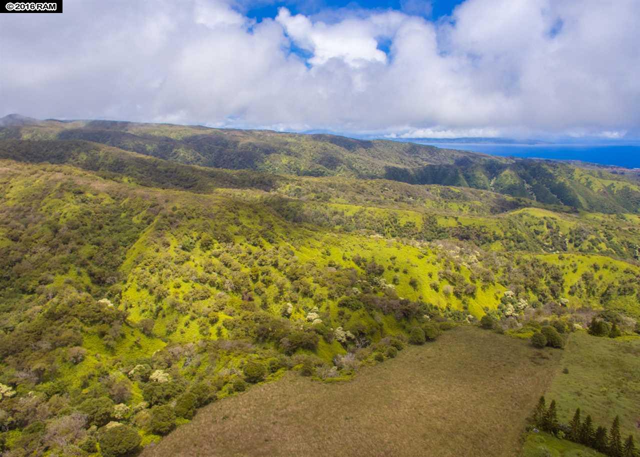 114 Lahaole Pl  Wailuku, Hi vacant land for sale - photo 15 of 30