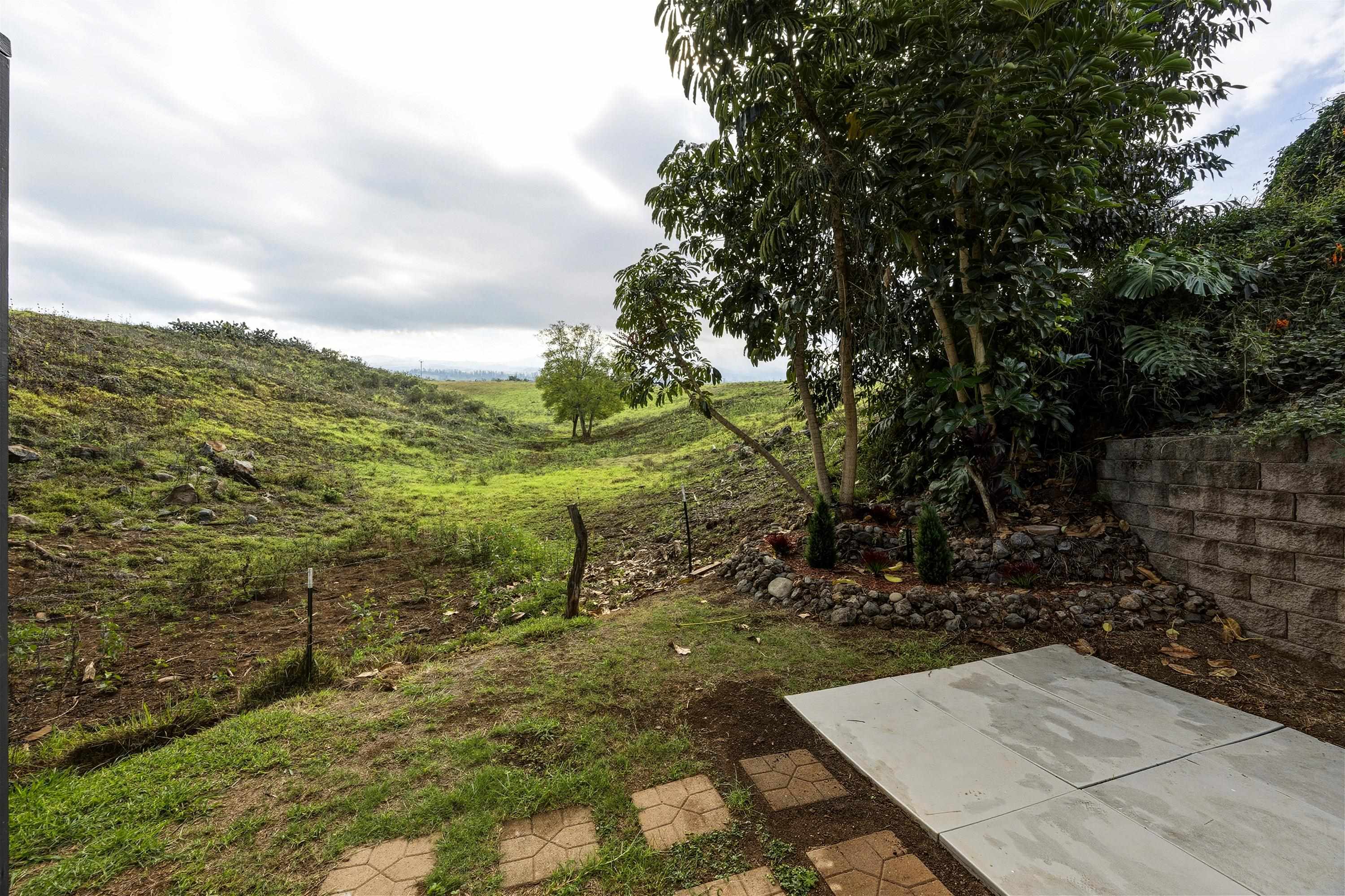 114  Mano Dr , Kula/Ulupalakua/Kanaio home - photo 22 of 50