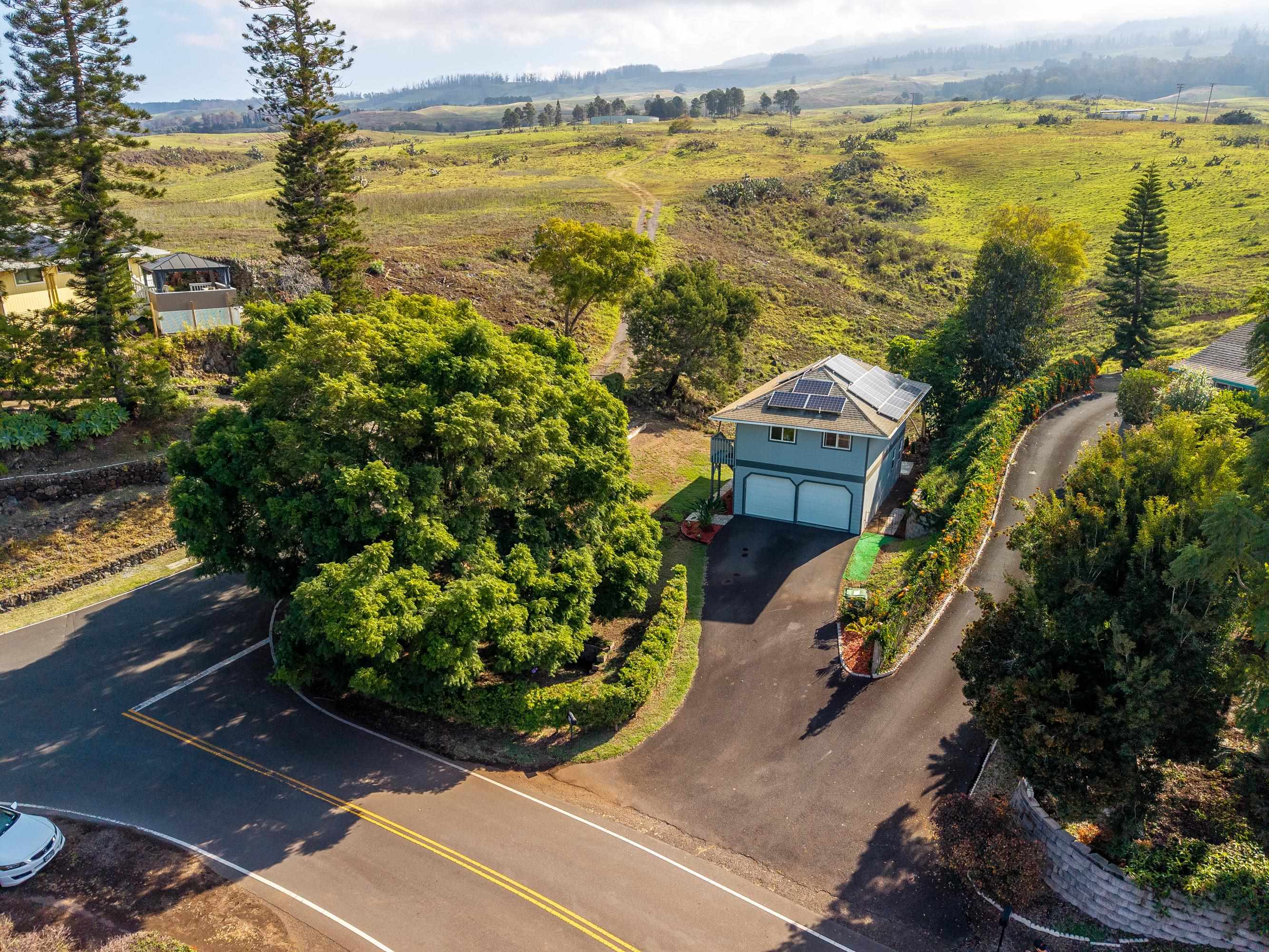 114  Mano Dr , Kula/Ulupalakua/Kanaio home - photo 40 of 50