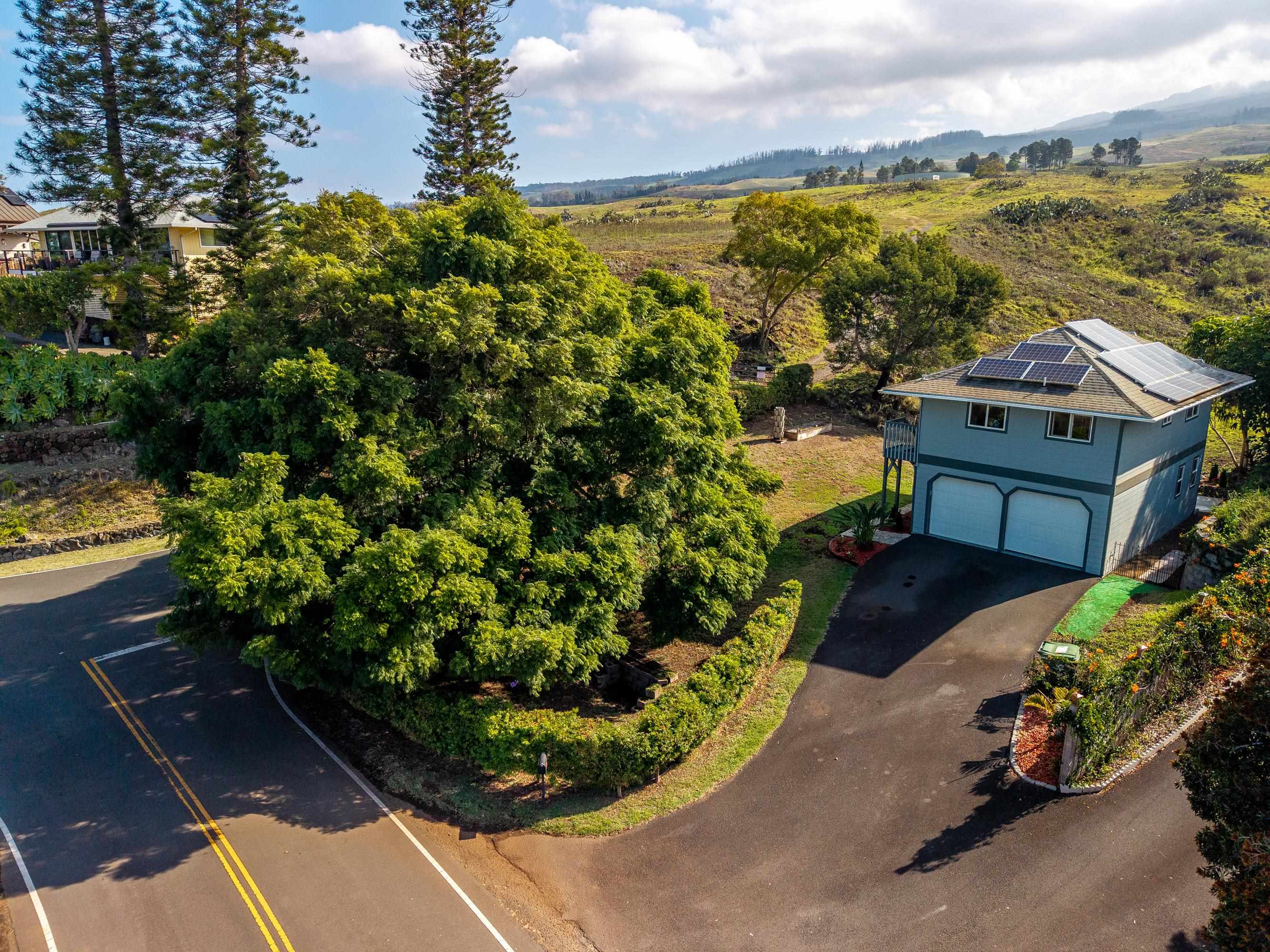 114  Mano Dr , Kula/Ulupalakua/Kanaio home - photo 41 of 50