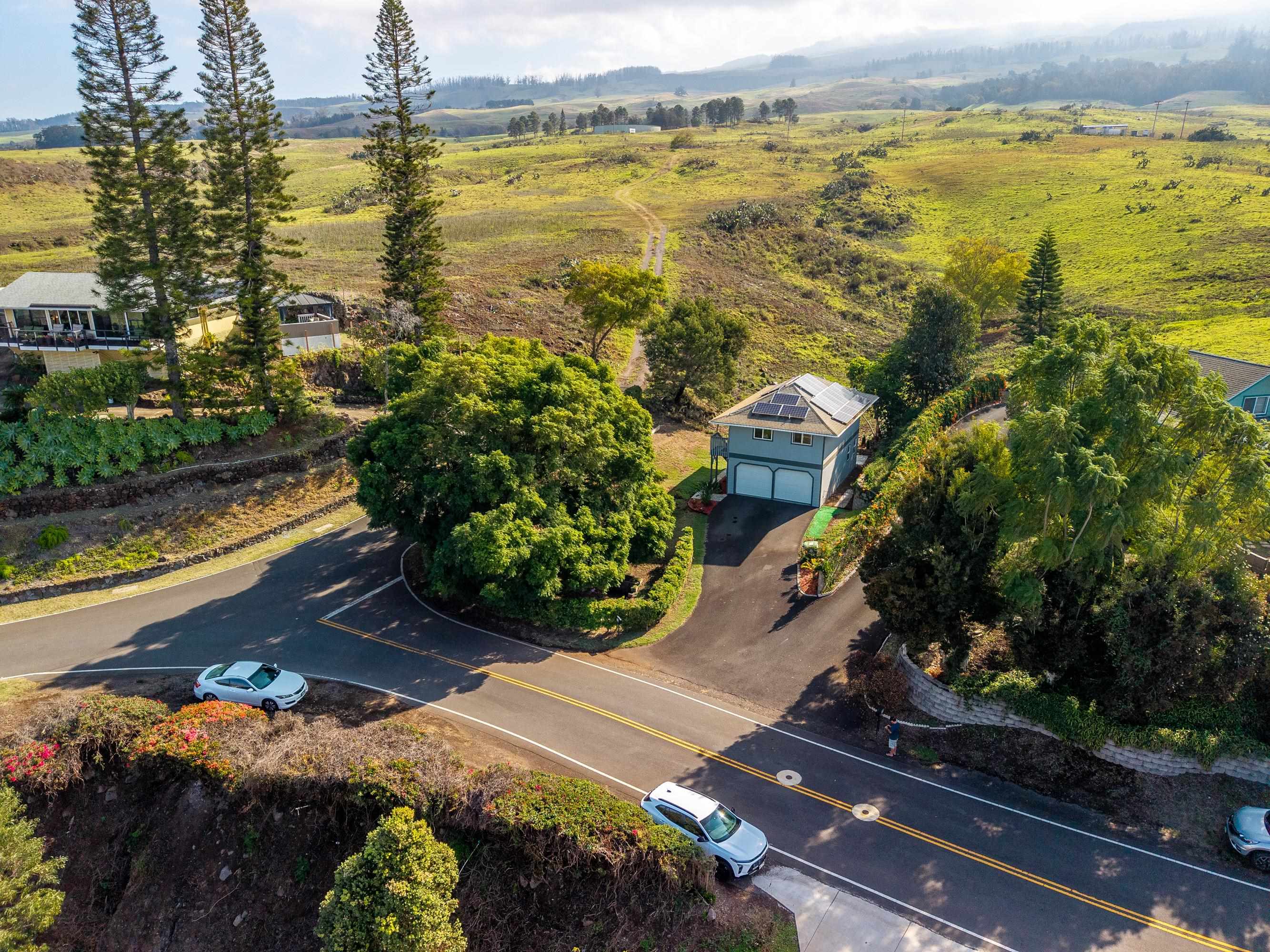 114  Mano Dr , Kula/Ulupalakua/Kanaio home - photo 45 of 50