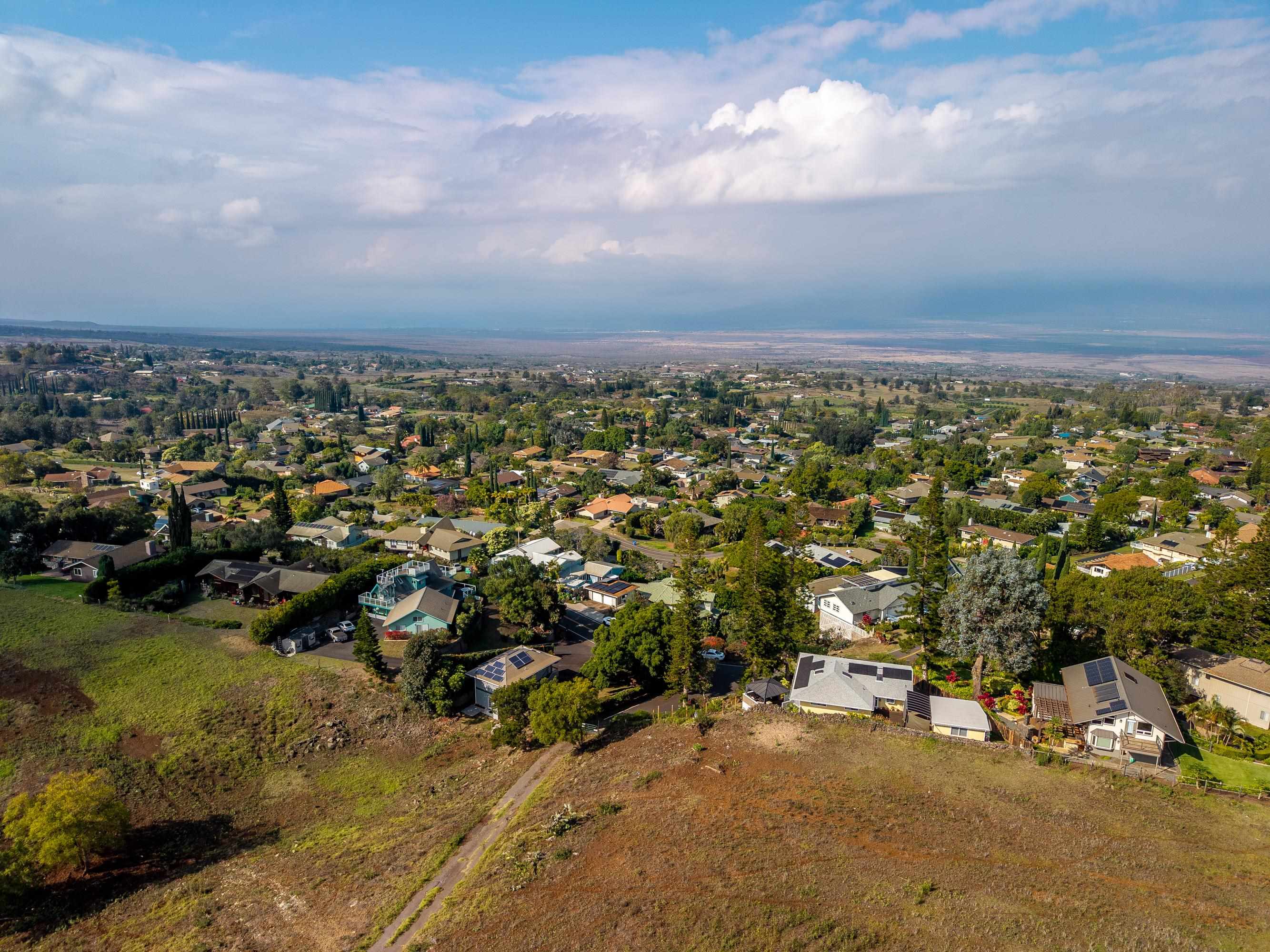 114  Mano Dr , Kula/Ulupalakua/Kanaio home - photo 47 of 50