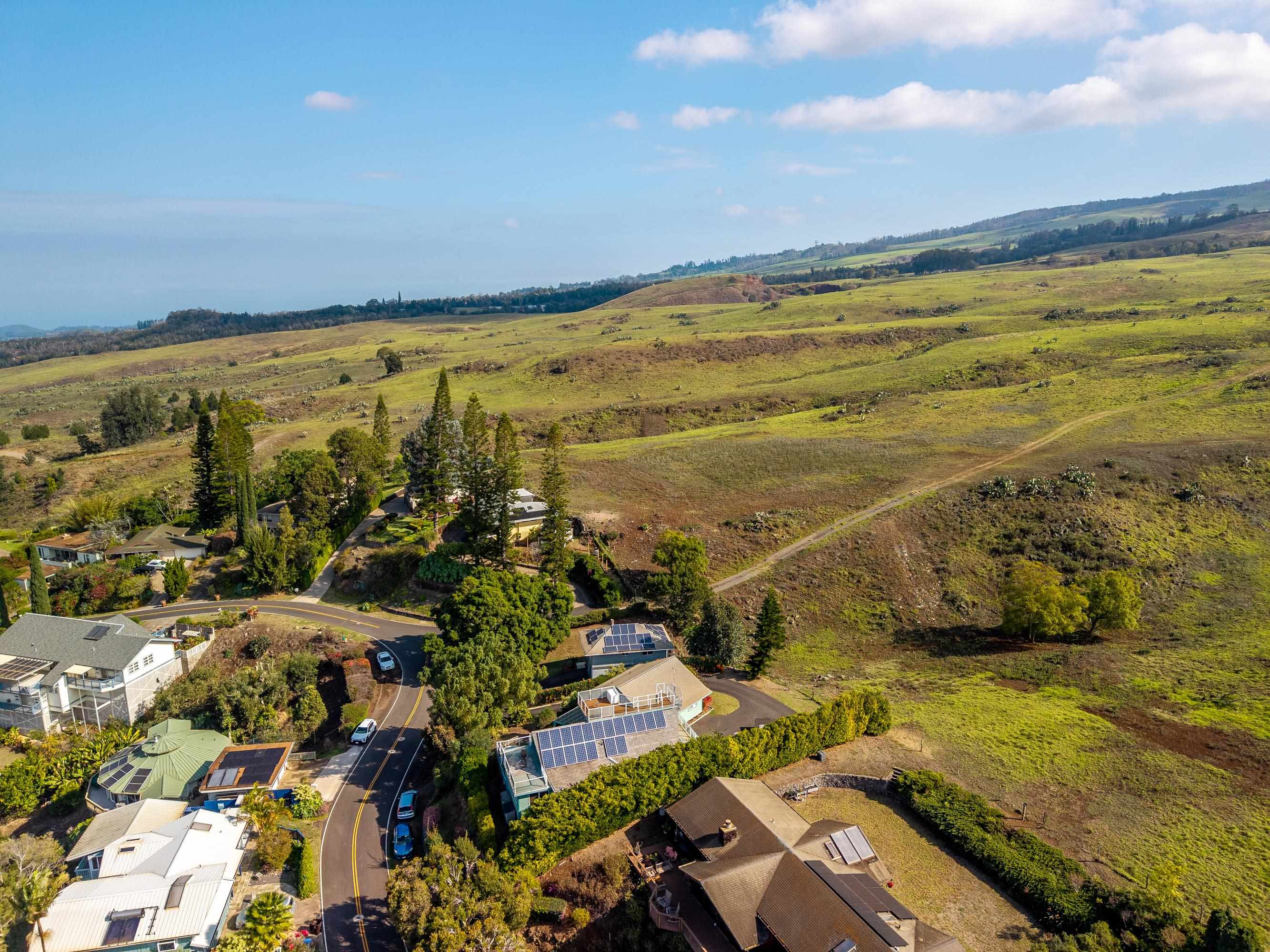 114  Mano Dr , Kula/Ulupalakua/Kanaio home - photo 49 of 50