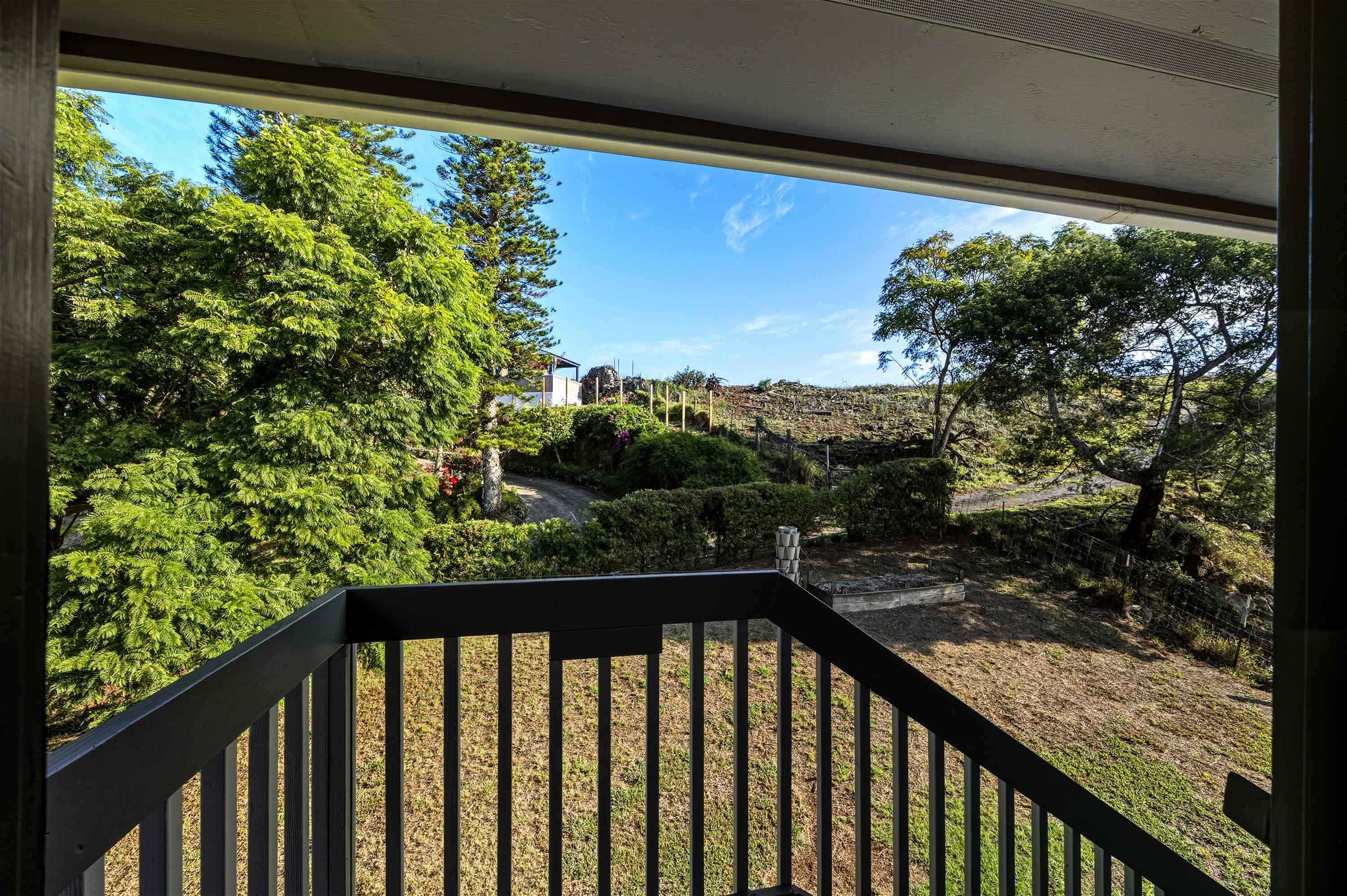 114  Mano Dr , Kula/Ulupalakua/Kanaio home - photo 7 of 50