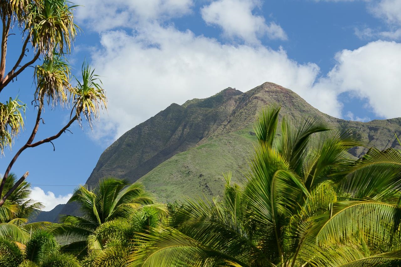11499  Honoapiilani Hwy , Olowalu home - photo 32 of 49