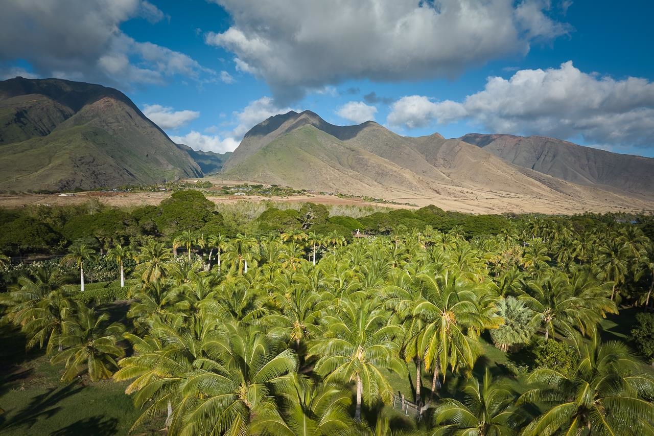 11499  Honoapiilani Hwy , Olowalu home - photo 34 of 49