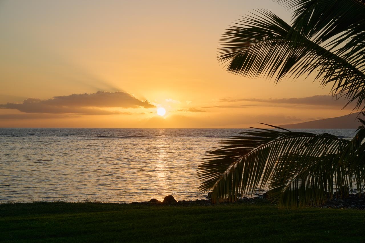 11499  Honoapiilani Hwy , Olowalu home - photo 48 of 49