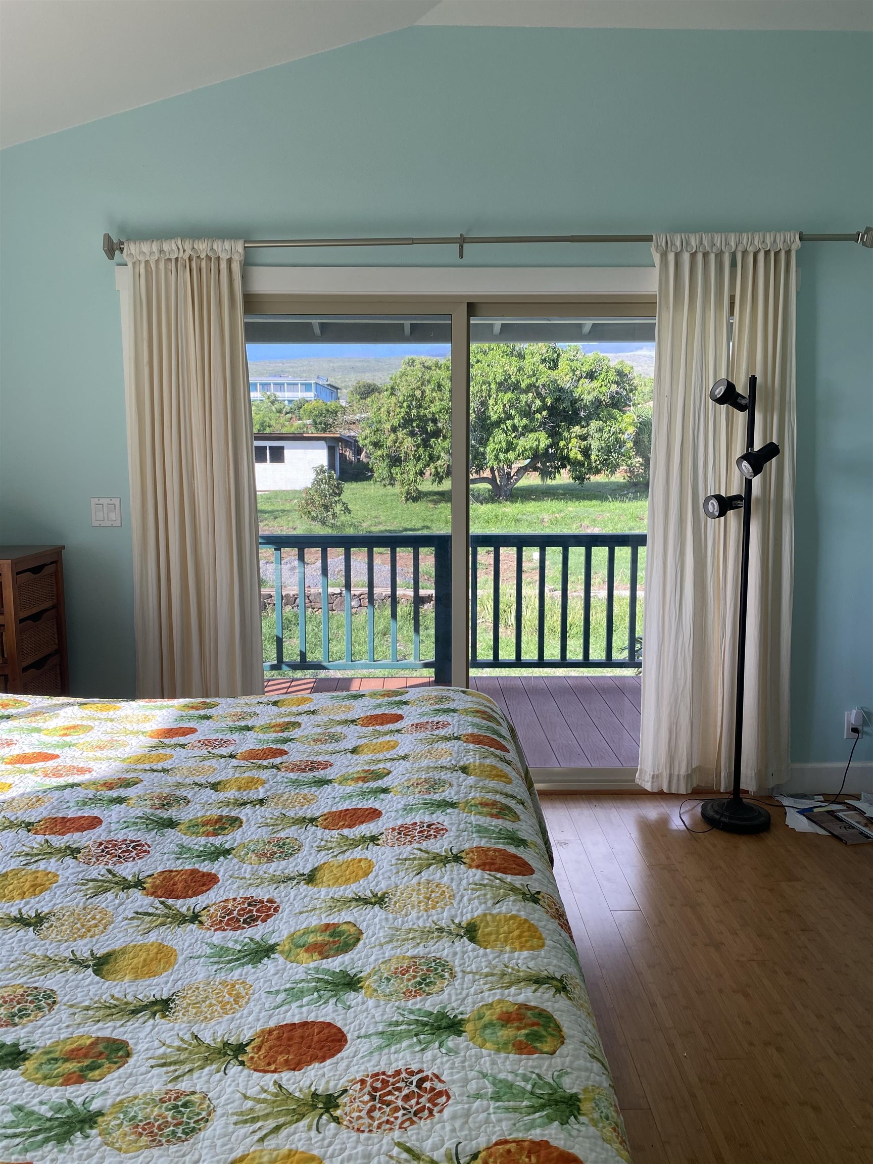 115  Aahi Pl , Molokai home - photo 23 of 35