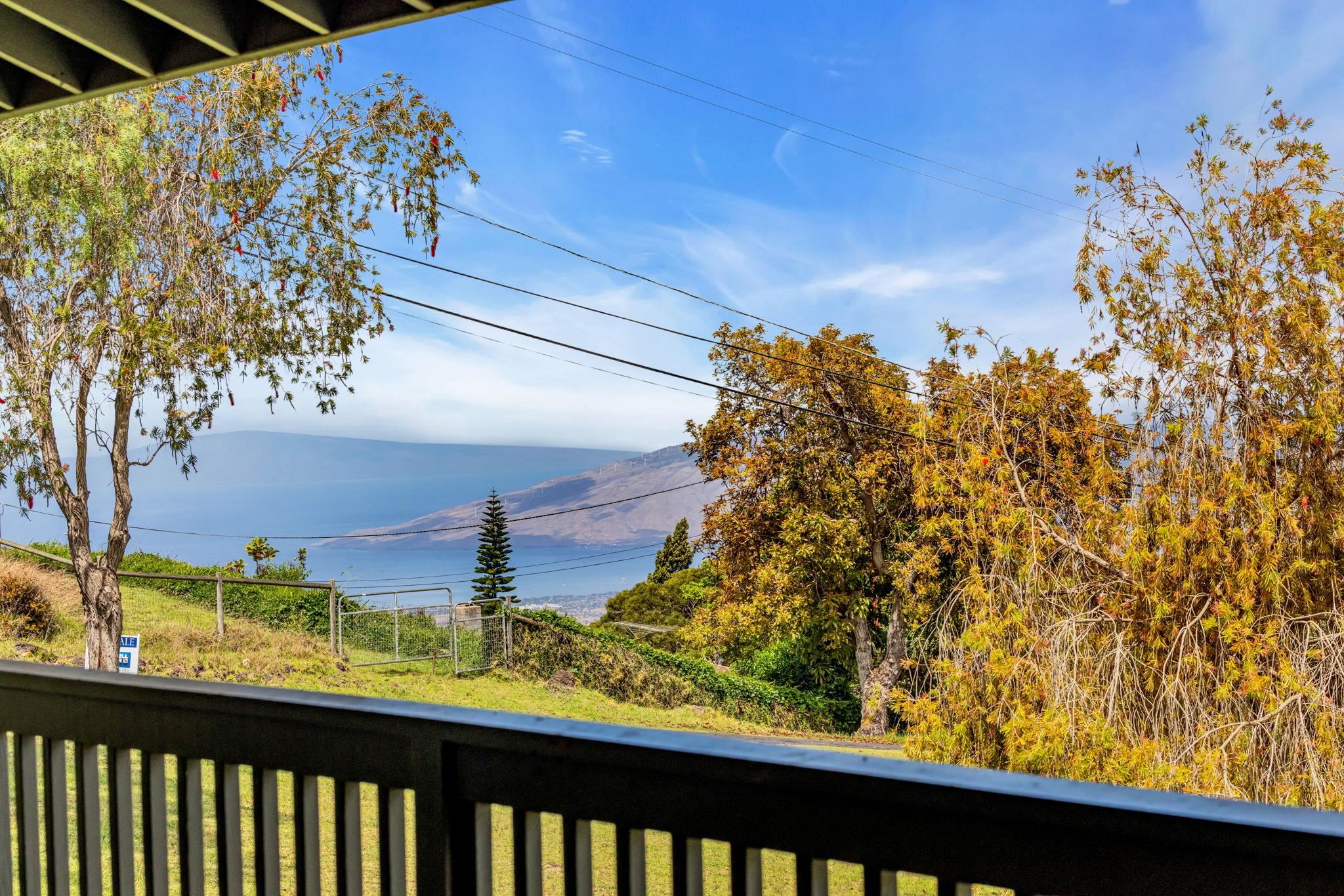 115  Alae Rd Kula, Kula/Ulupalakua/Kanaio home - photo 33 of 50