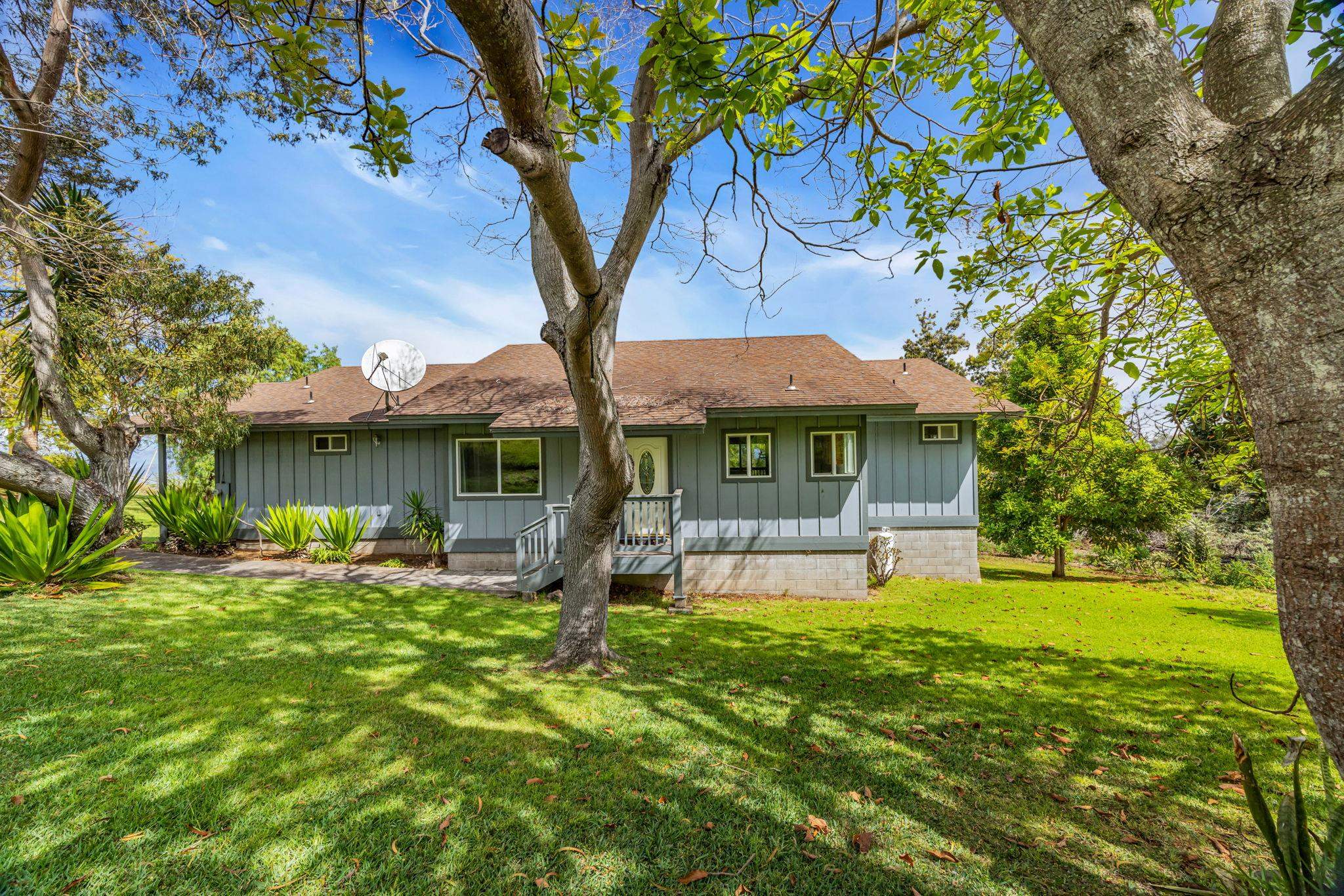 115  Alae Rd Kula, Kula/Ulupalakua/Kanaio home - photo 39 of 50