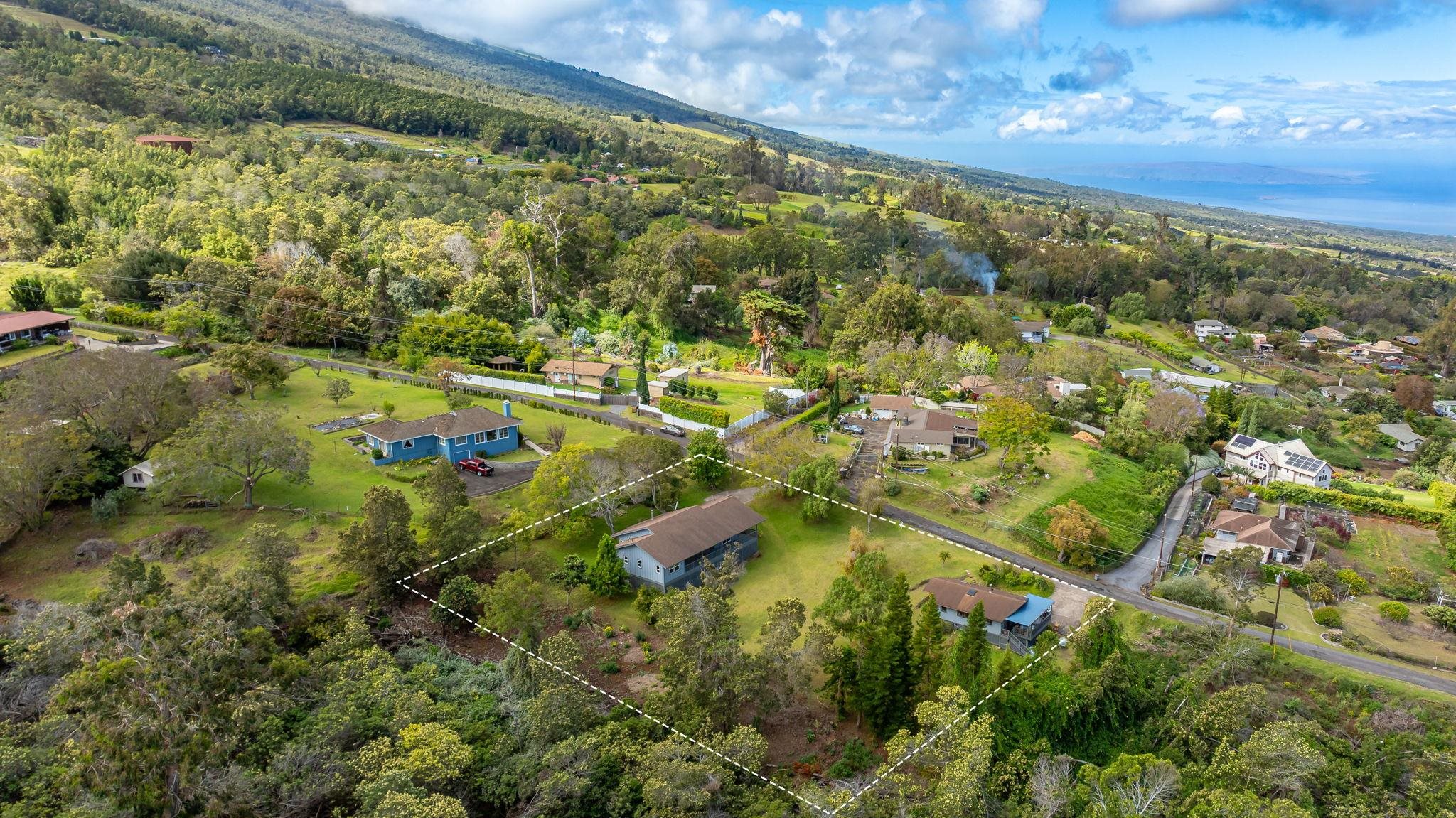 115  Alae Rd Kula, Kula/Ulupalakua/Kanaio home - photo 41 of 50